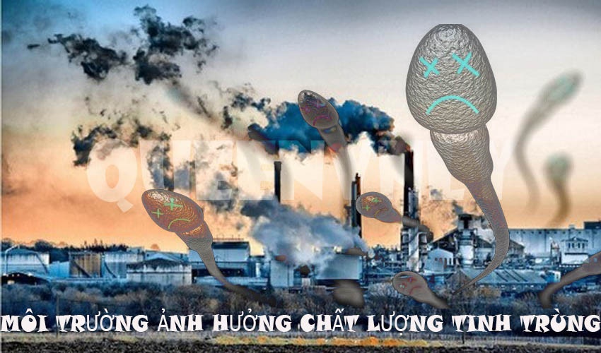 Môi trường ảnh hưởng đến chất lượng tinh trùng