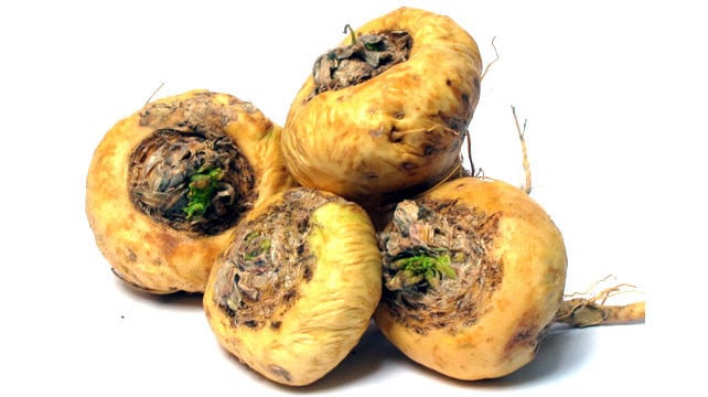Ăn Maca tăng khối lượng và số lượng tinh binh