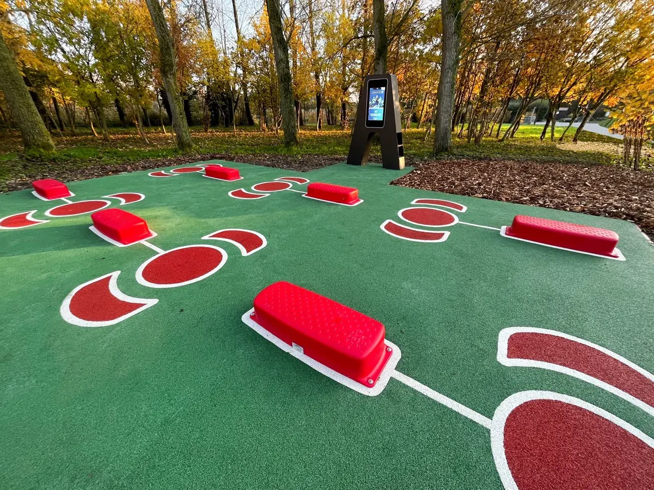 Les six postes de l'Arena AirFit de Loon-Plage, steps et marquages rouges sur sol coulé vert