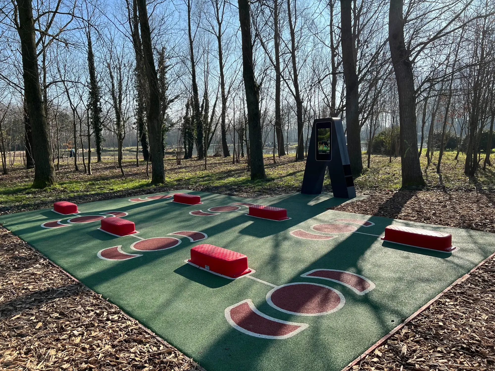 Le sol coulé vert et les steps rouges de l'Arena AirFit de Loon-Plage, paillage en copeaux autour