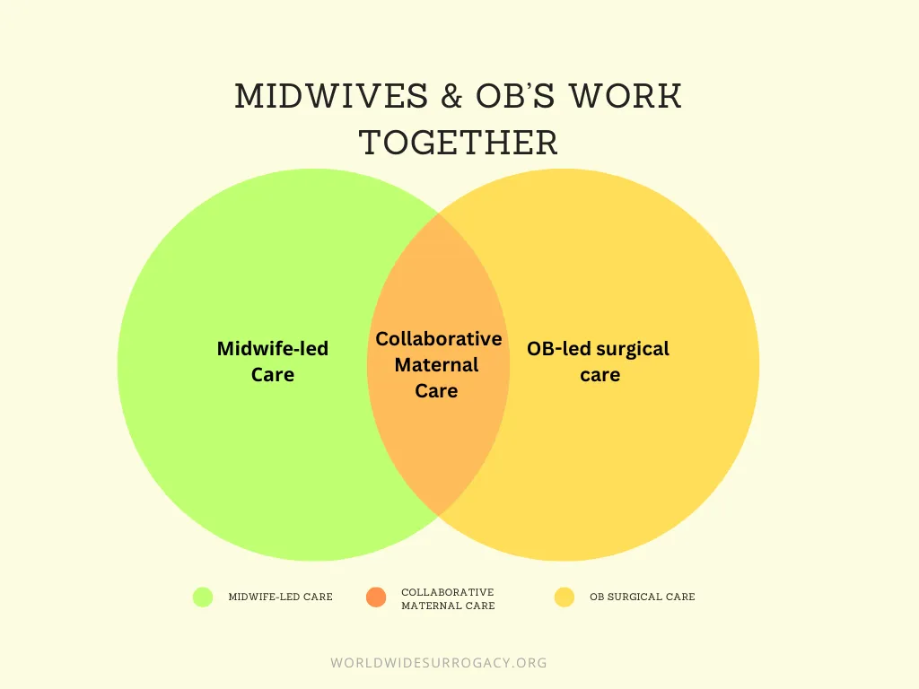Midwives and OB's work together