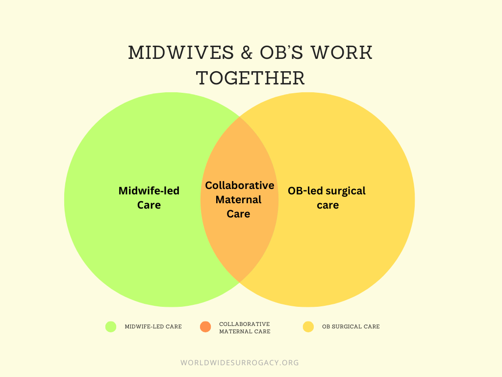 Midwives and OB's work together