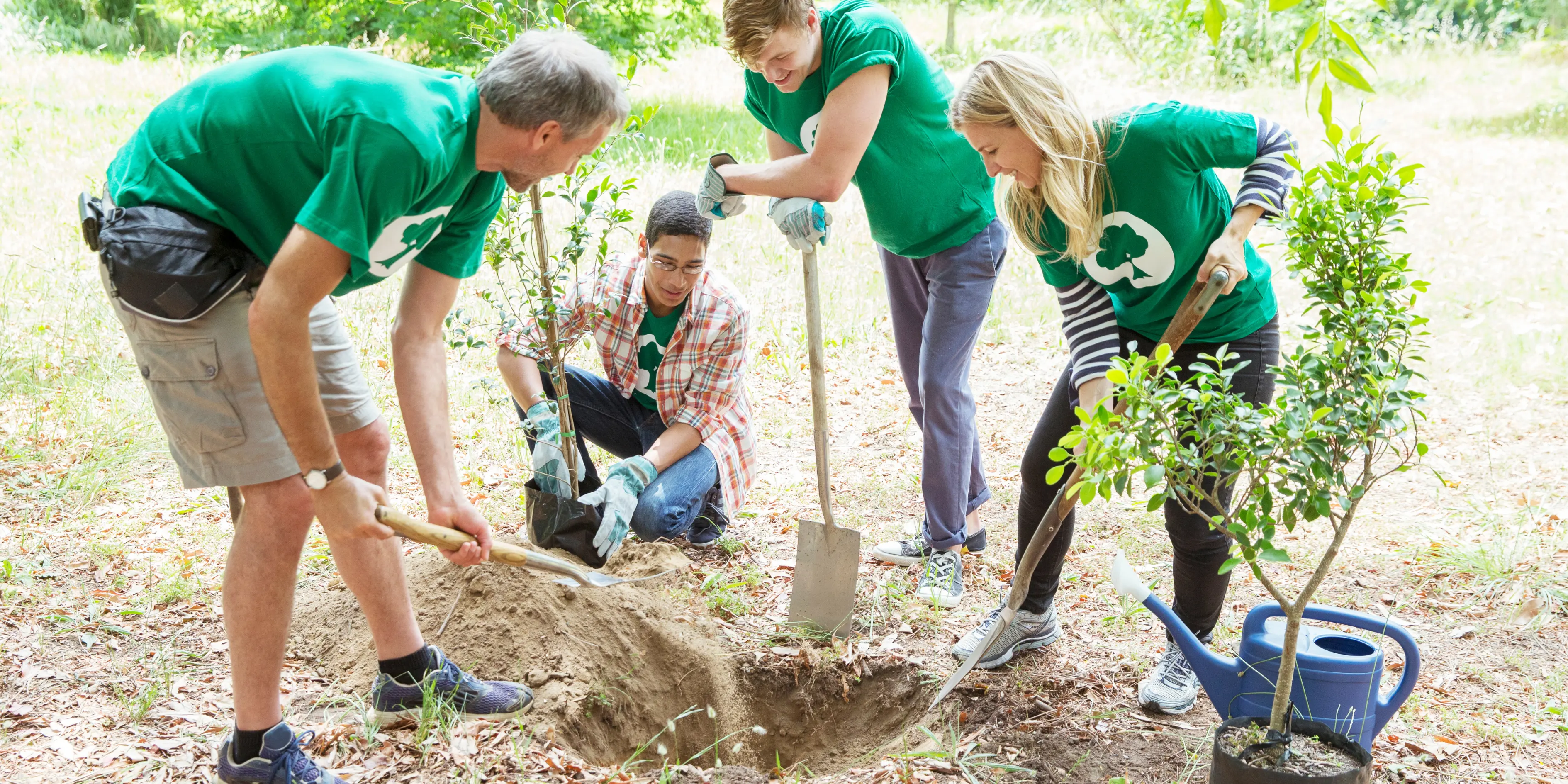 Group of volunteers planting trees in a London park,  environmental volunteering London opportunities.