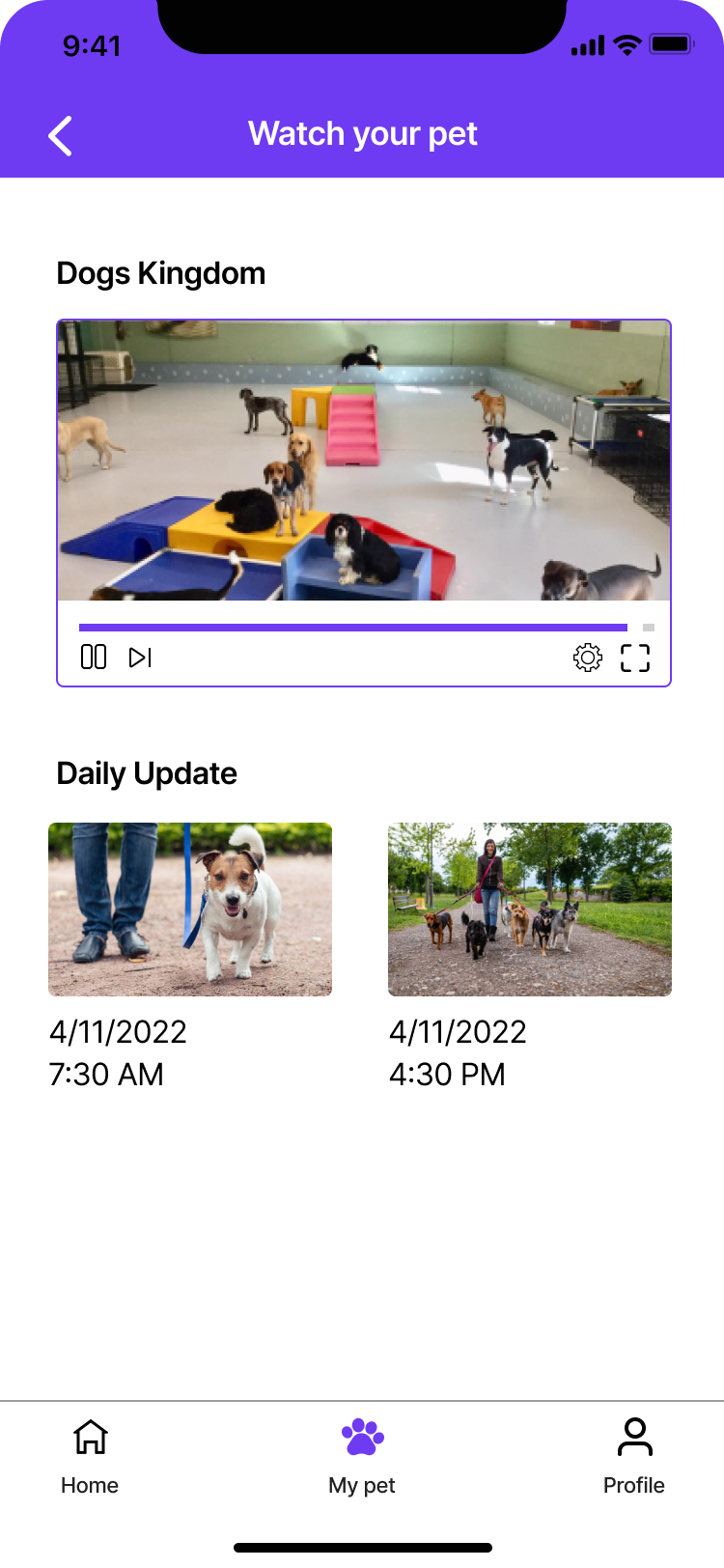 Pet care app watch your pet design