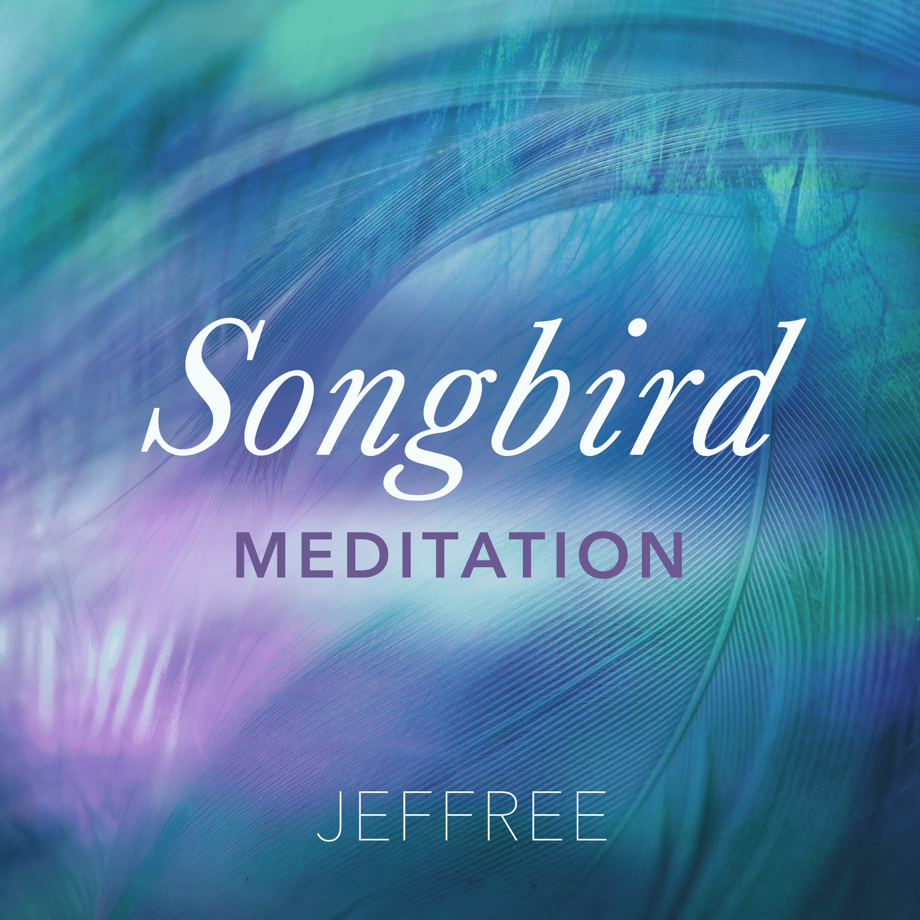 Songbird Meditation