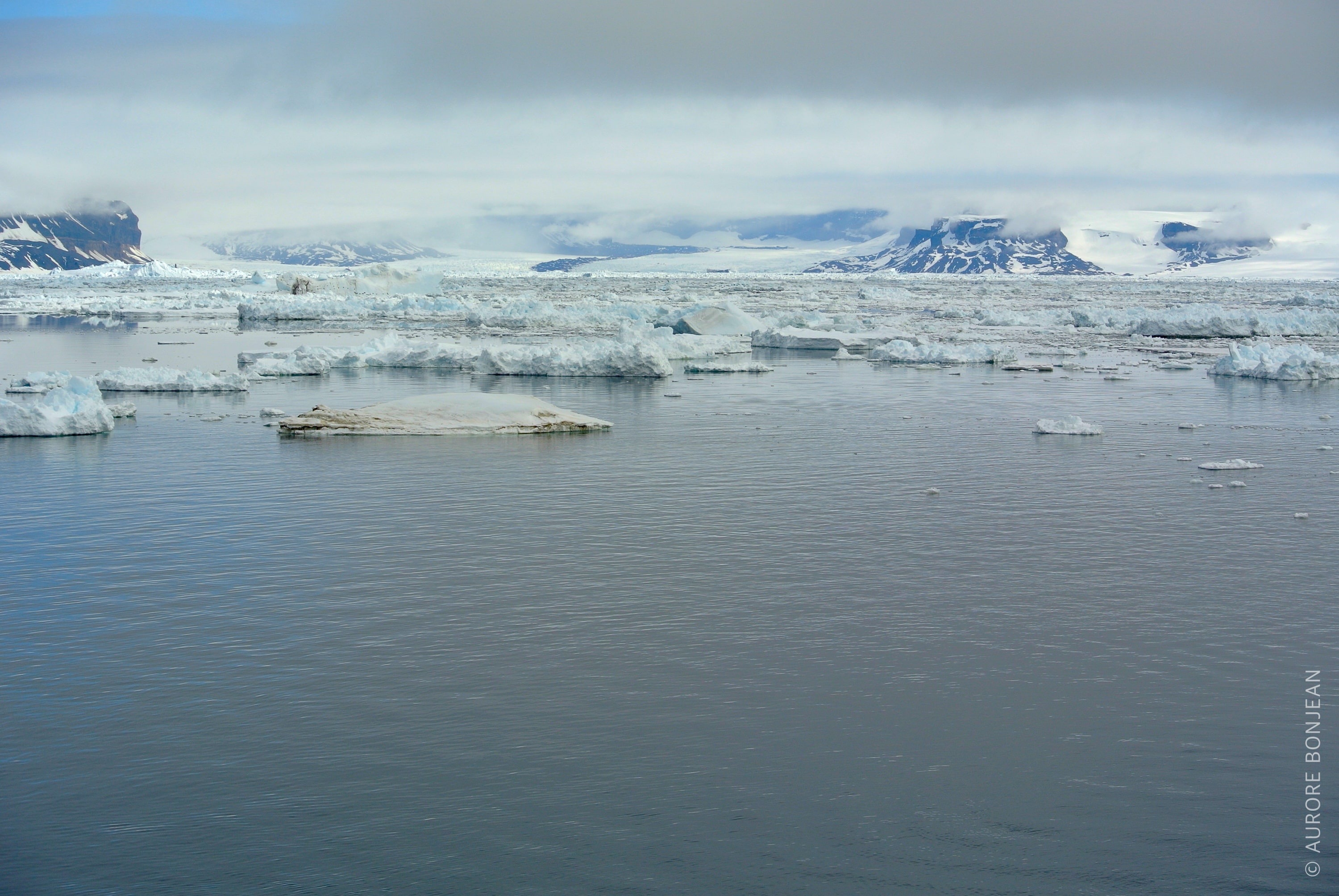 Voyage en Antarctique