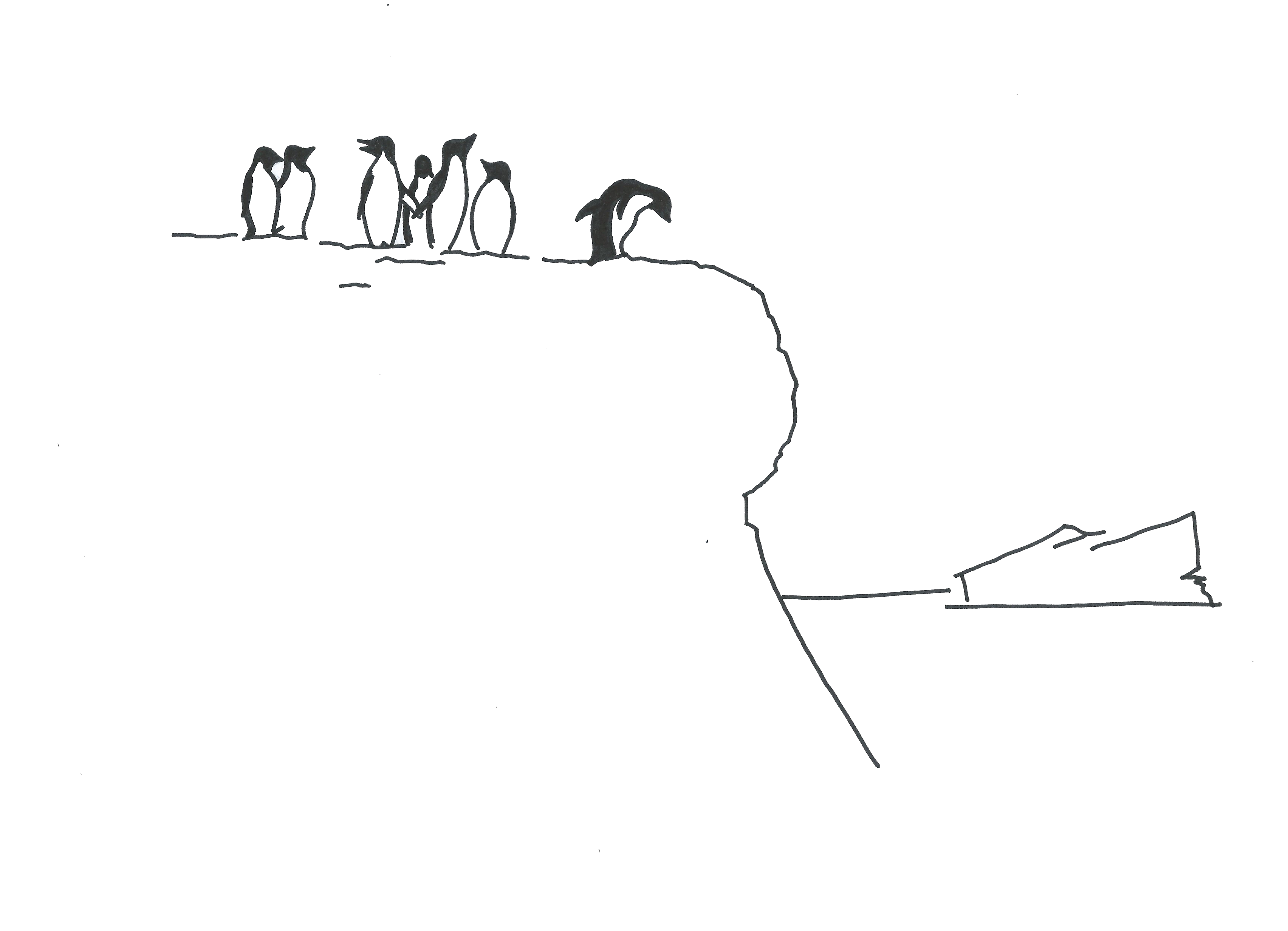 Manchots en Antarctique