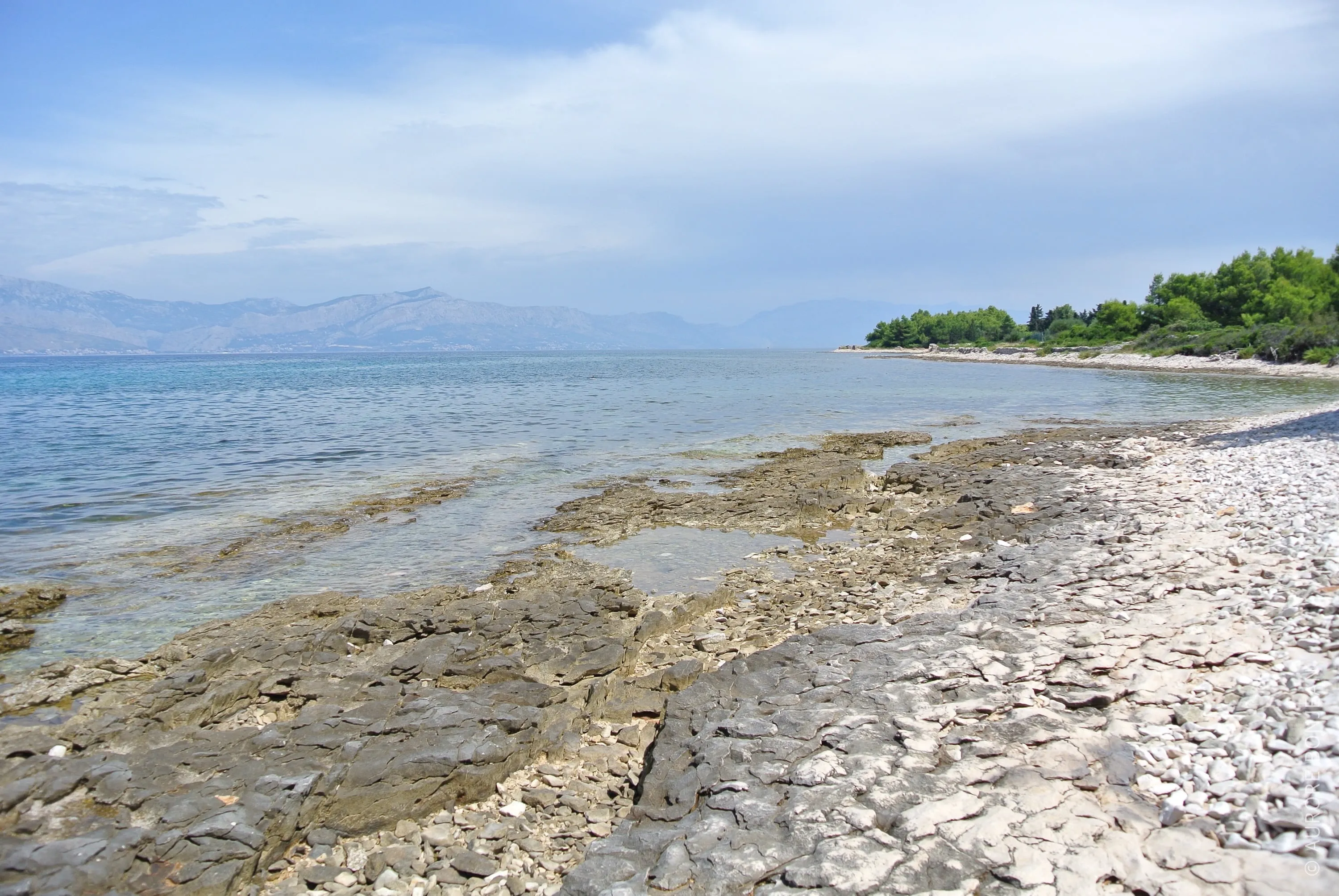 Brac
