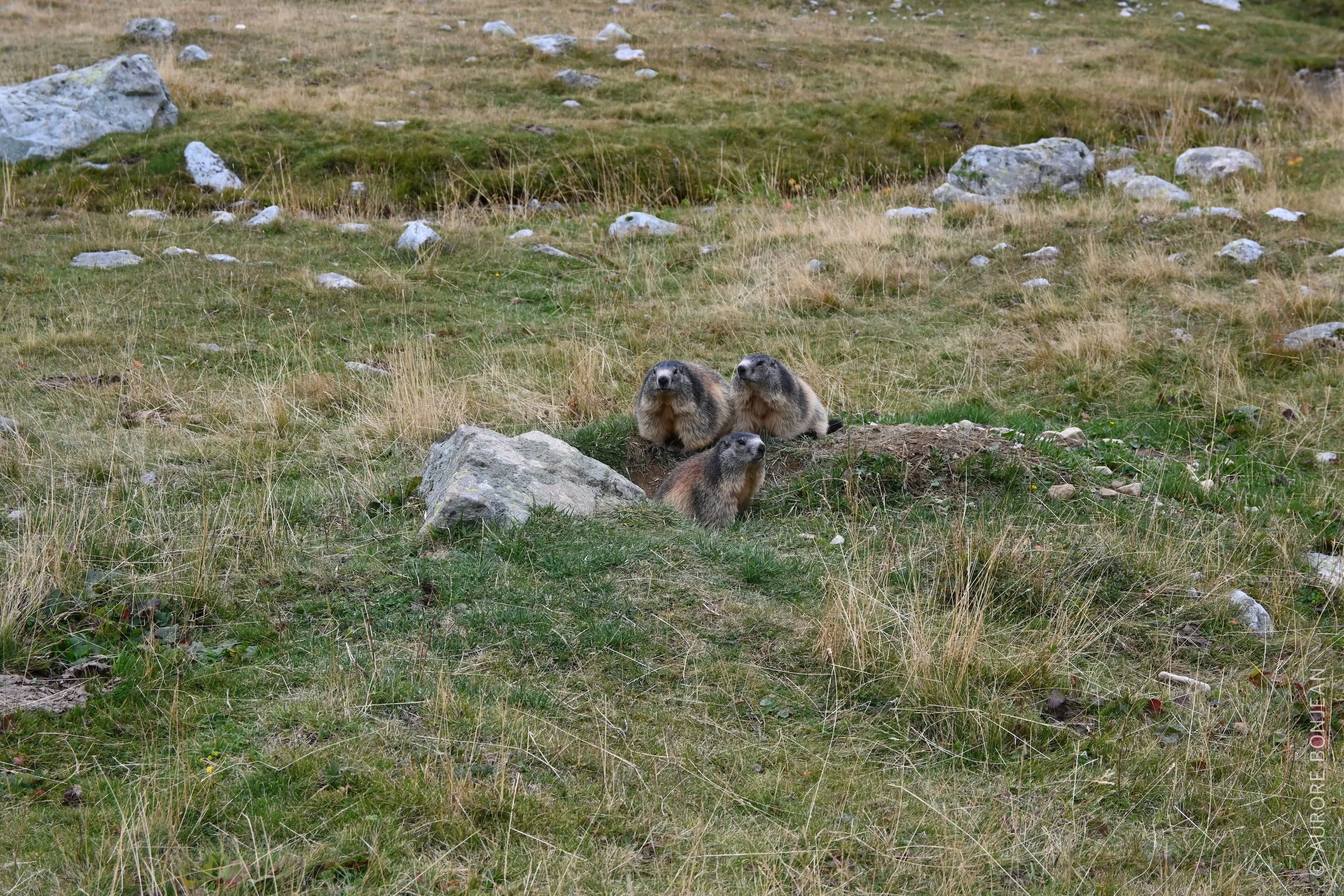 Massif des Ecrins