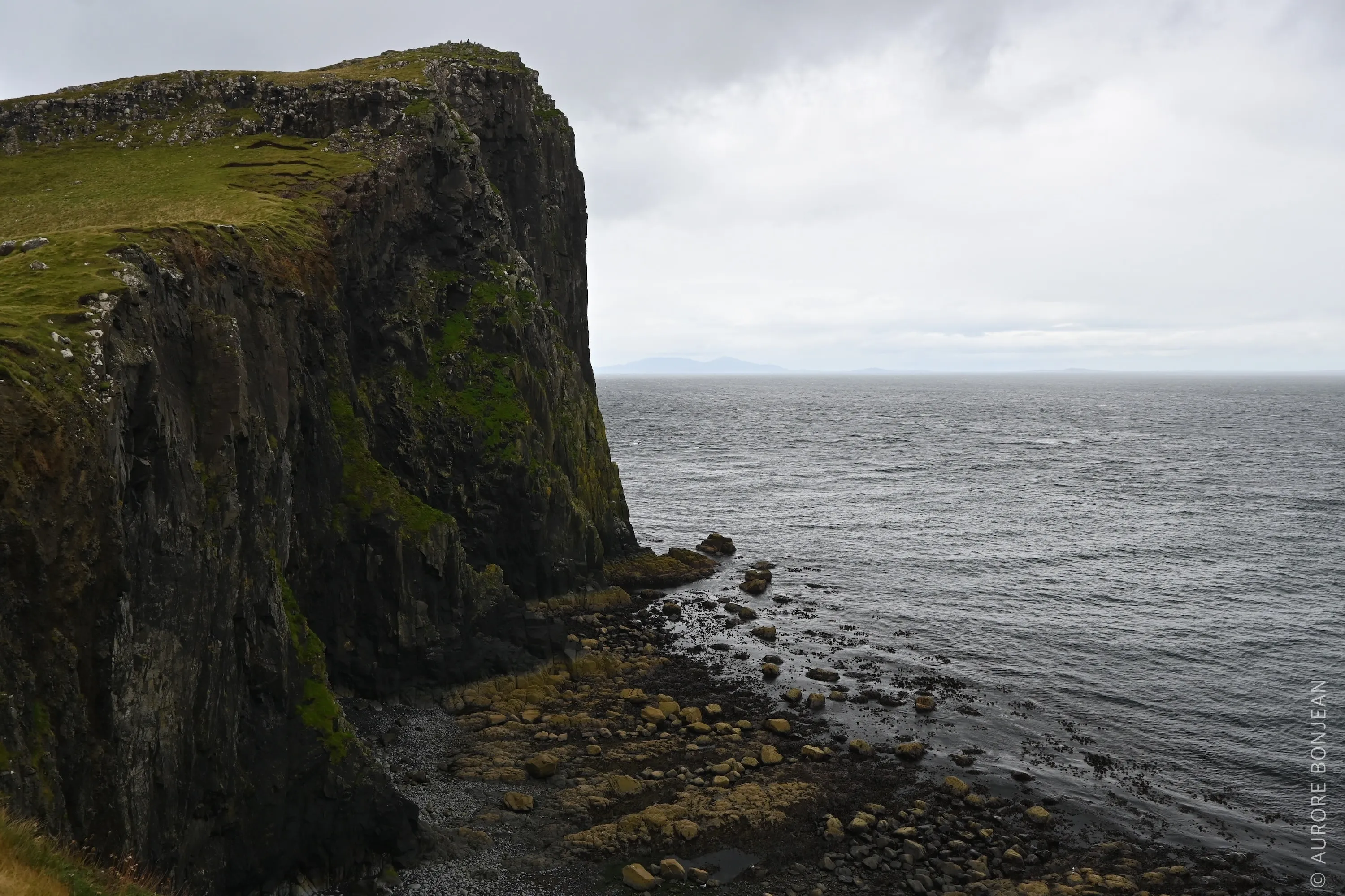 Nest Point