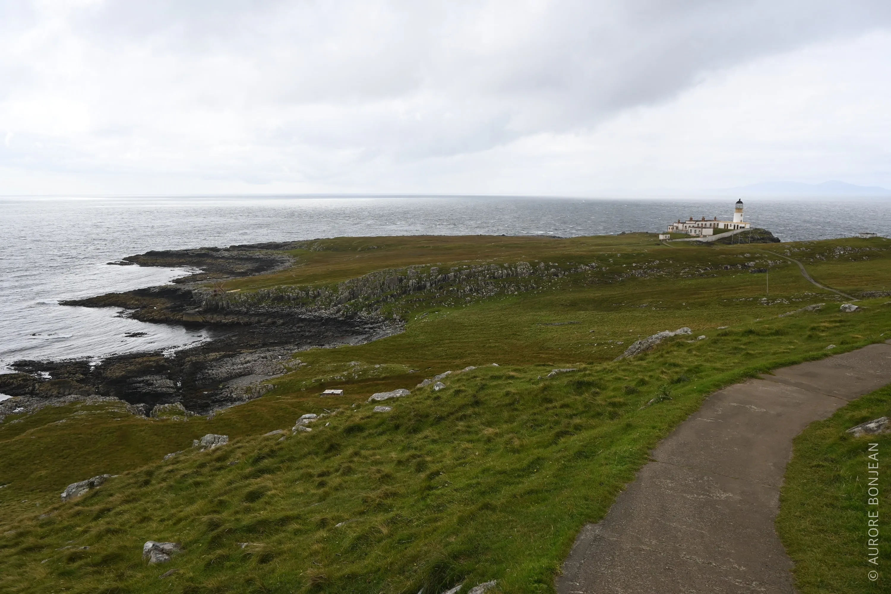 Nest Point