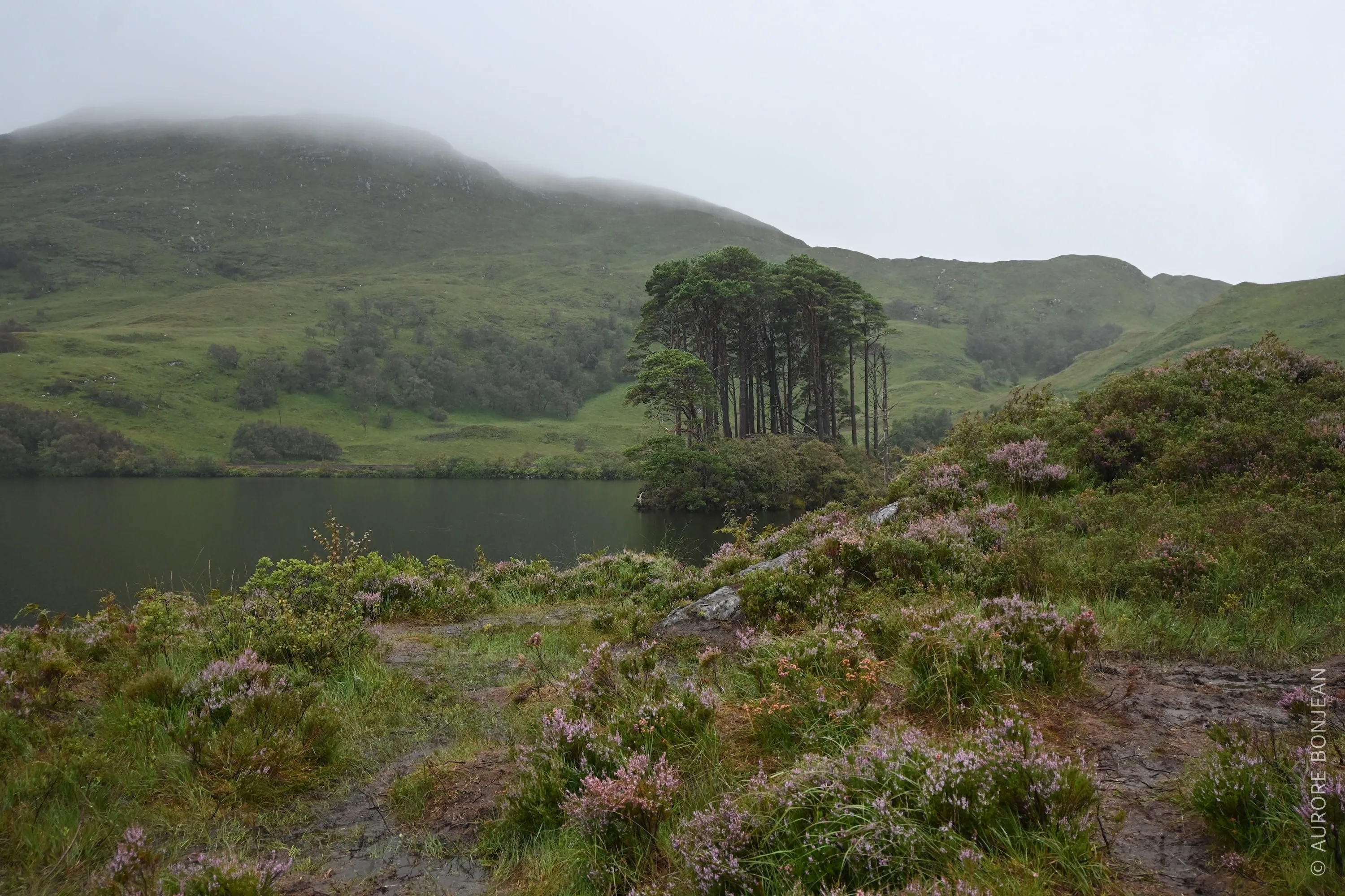 Eilean Na Moine