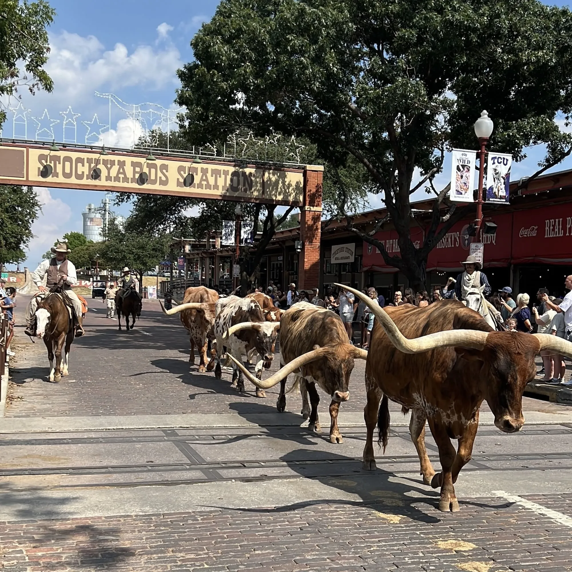Fort Worth 