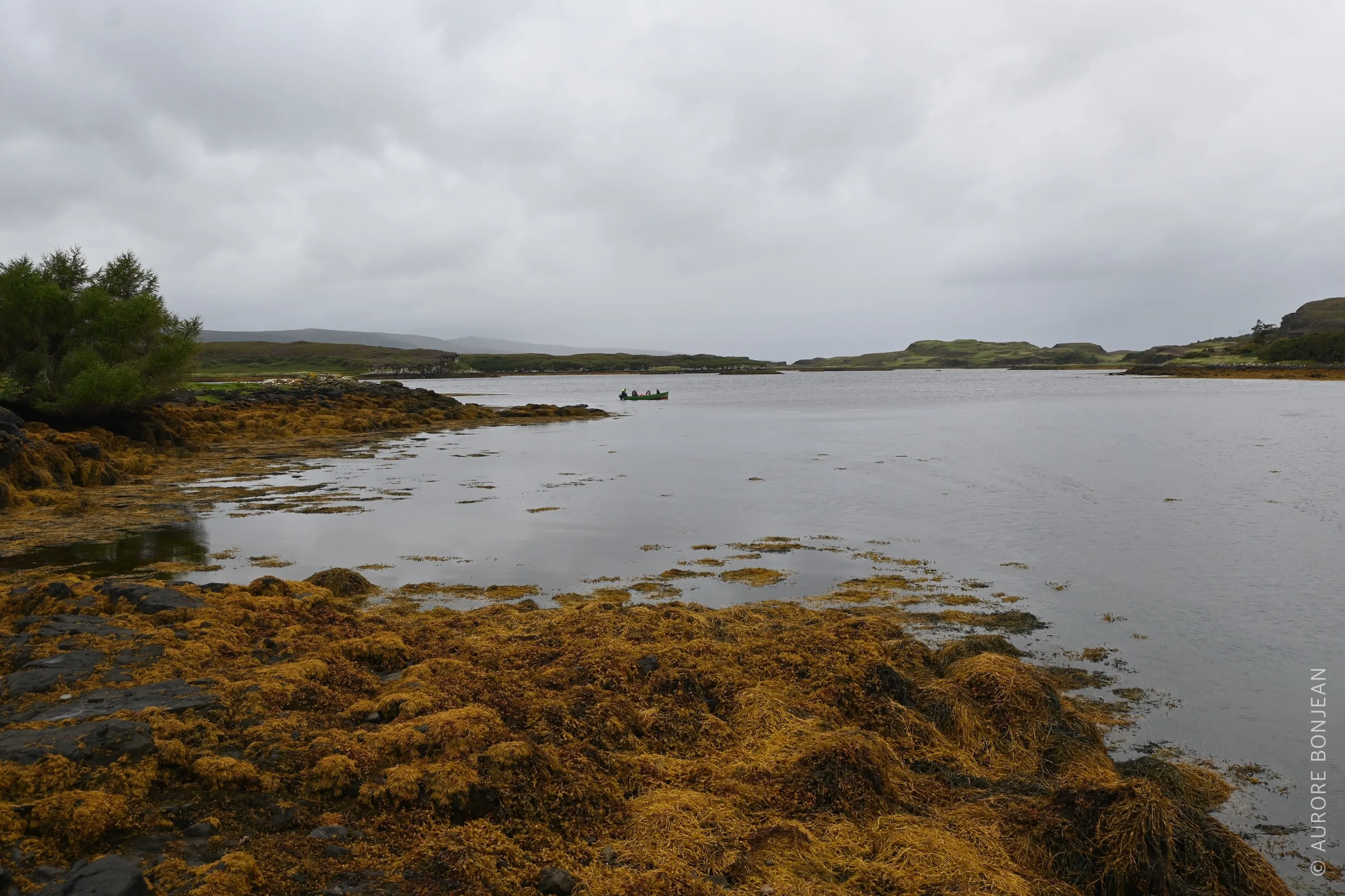 Dunvegan Castle