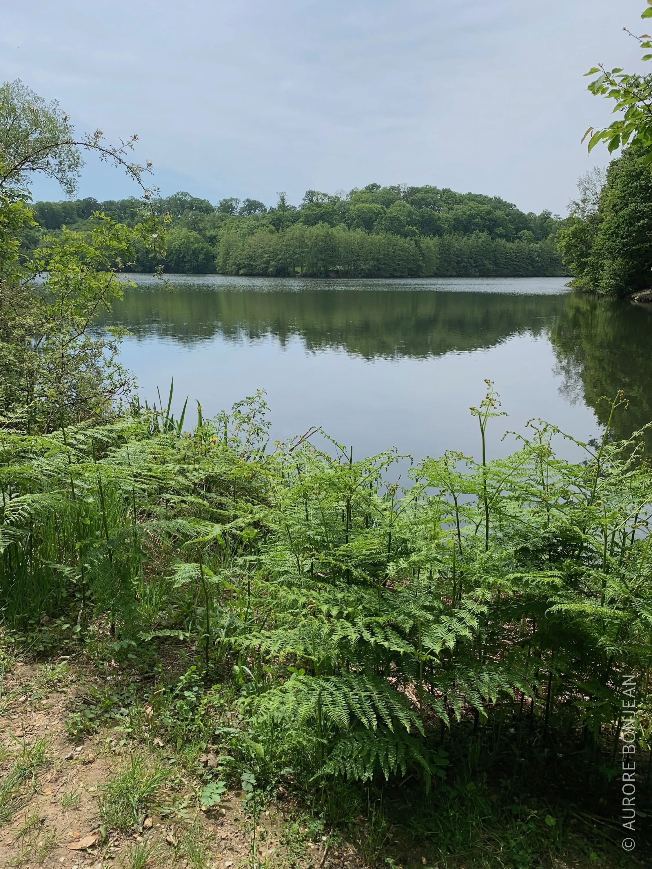 Etangs de la Bièvre