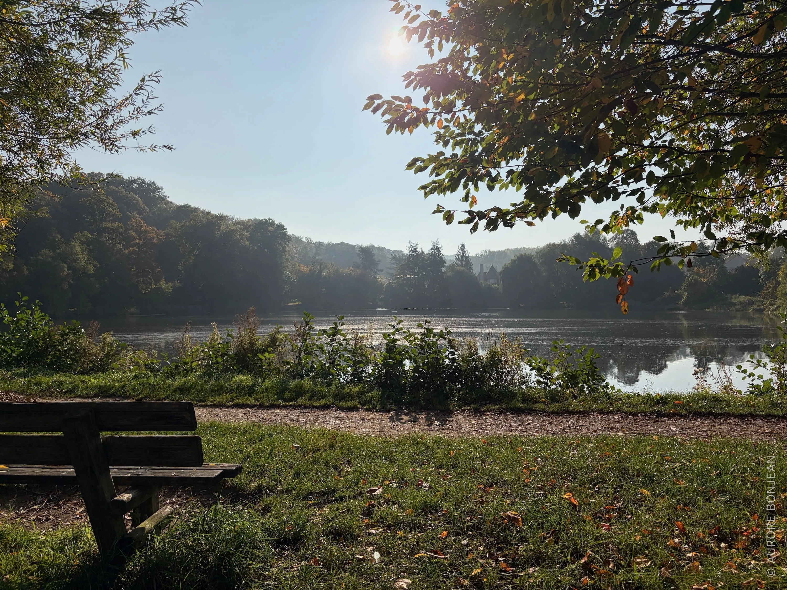 Forêt de Meudon
