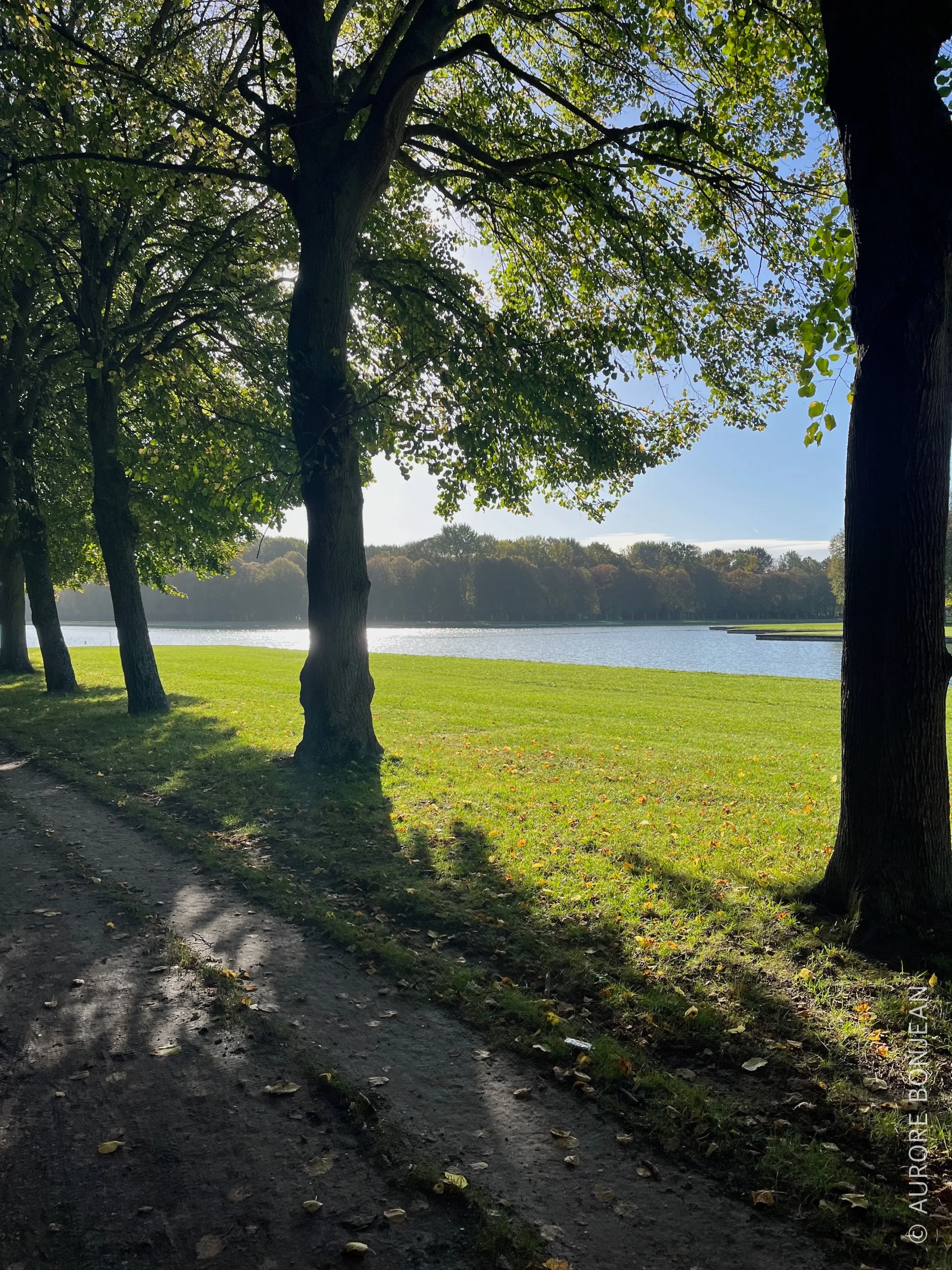 Parc de Versailles