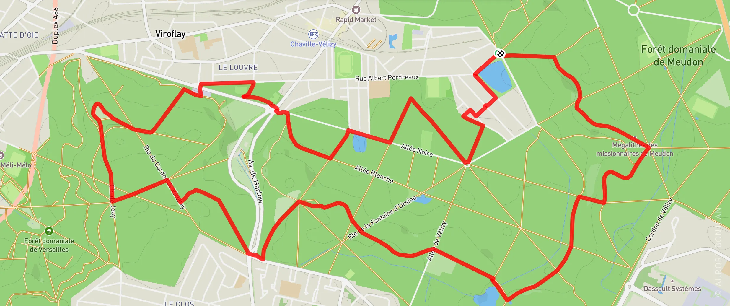 Randonnée dans la Forêt de Meudon