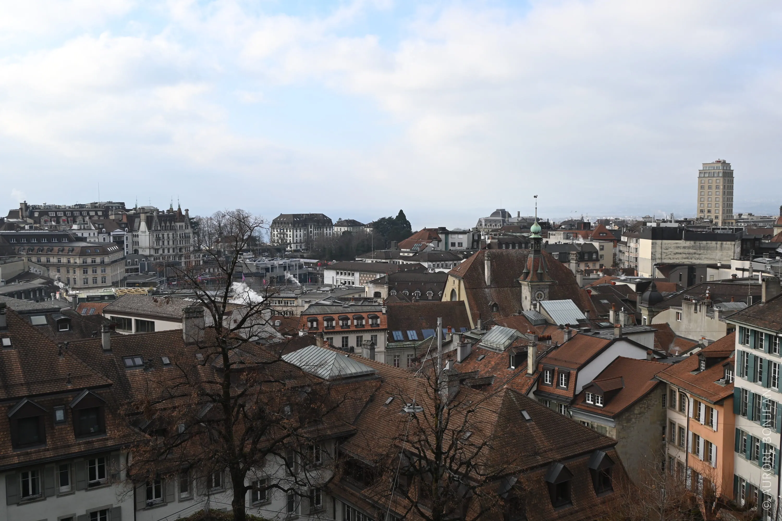 Lausanne depuis la cathédrale