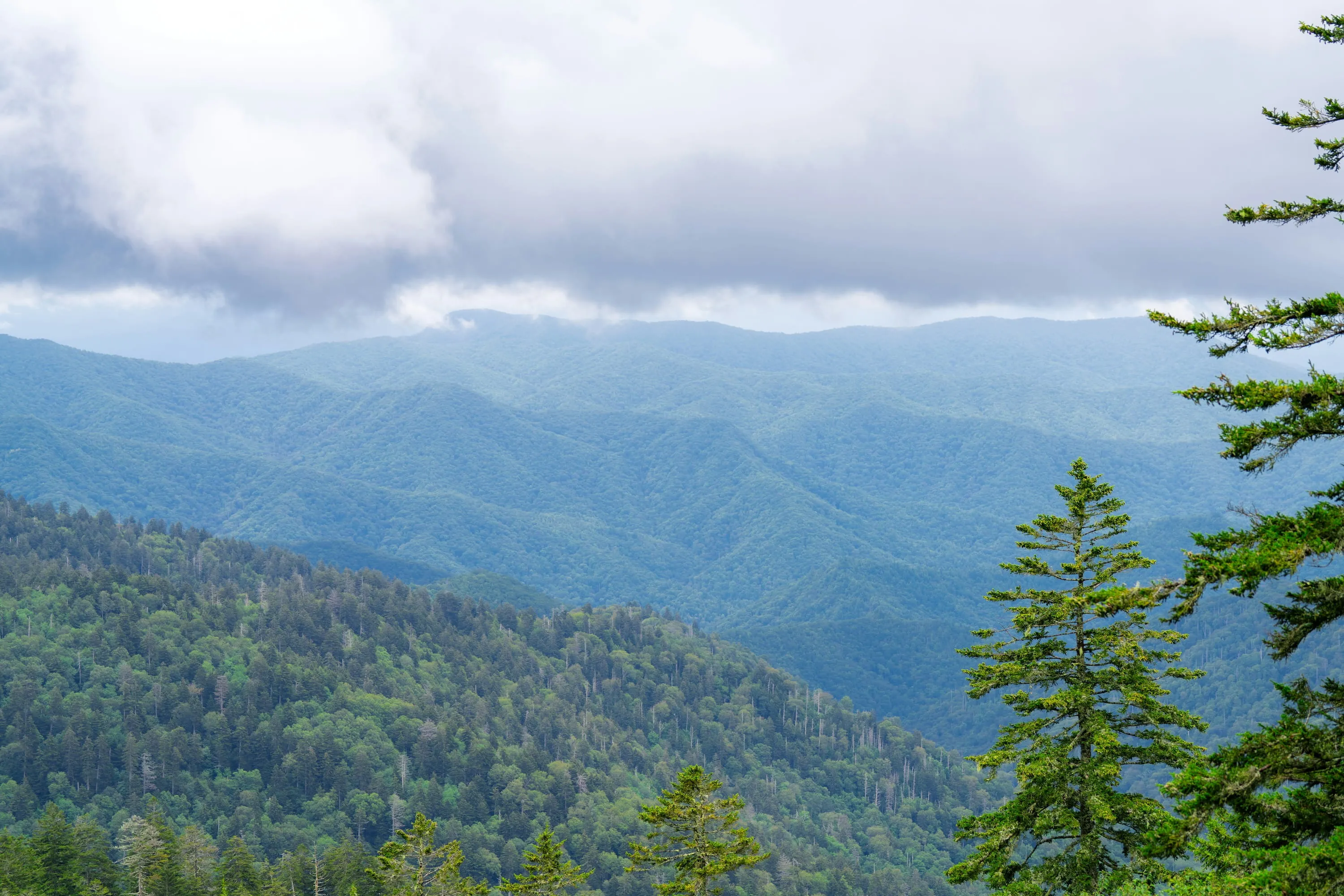 Great Smokey Mountains