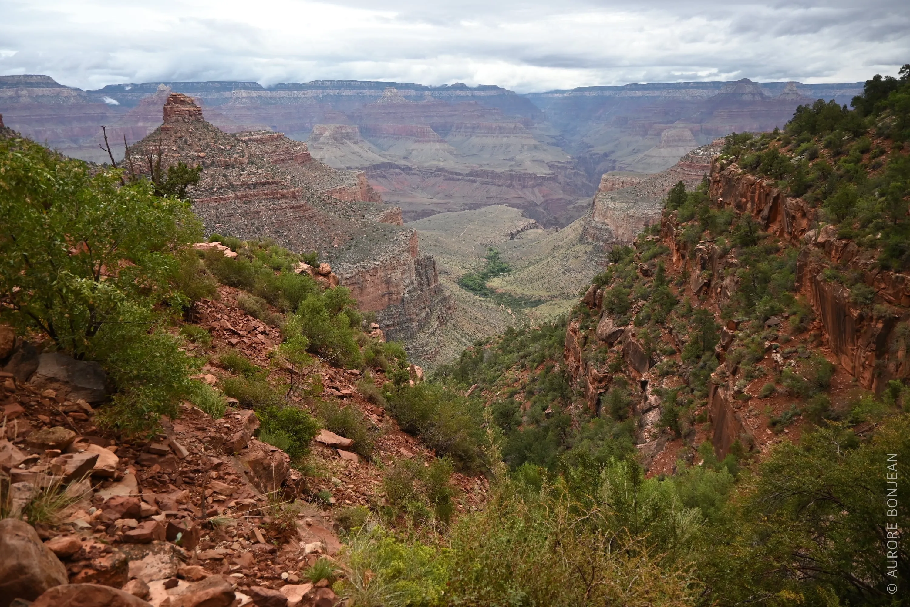 Grand Canyon National Park