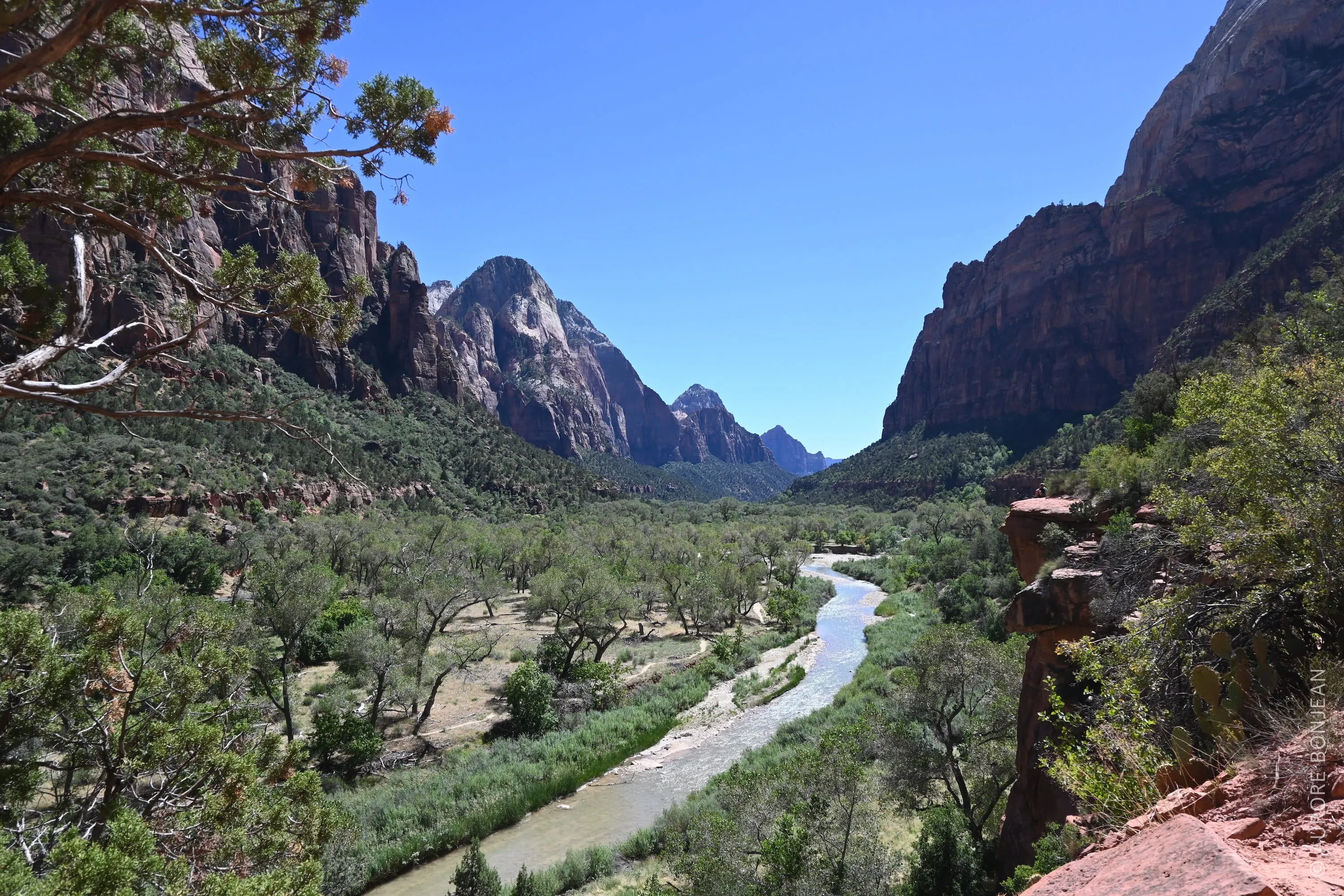 Zion National Park