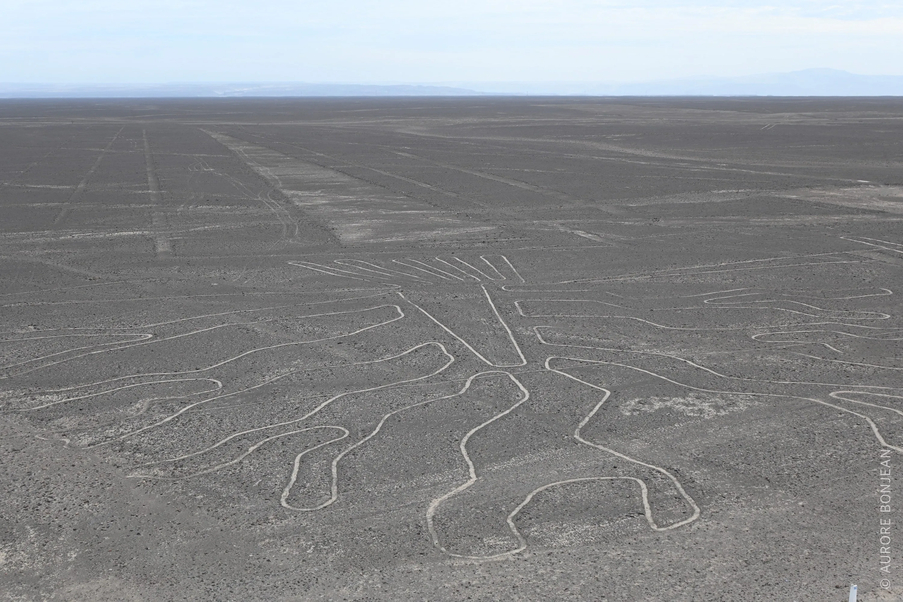 Lignes de Nazca