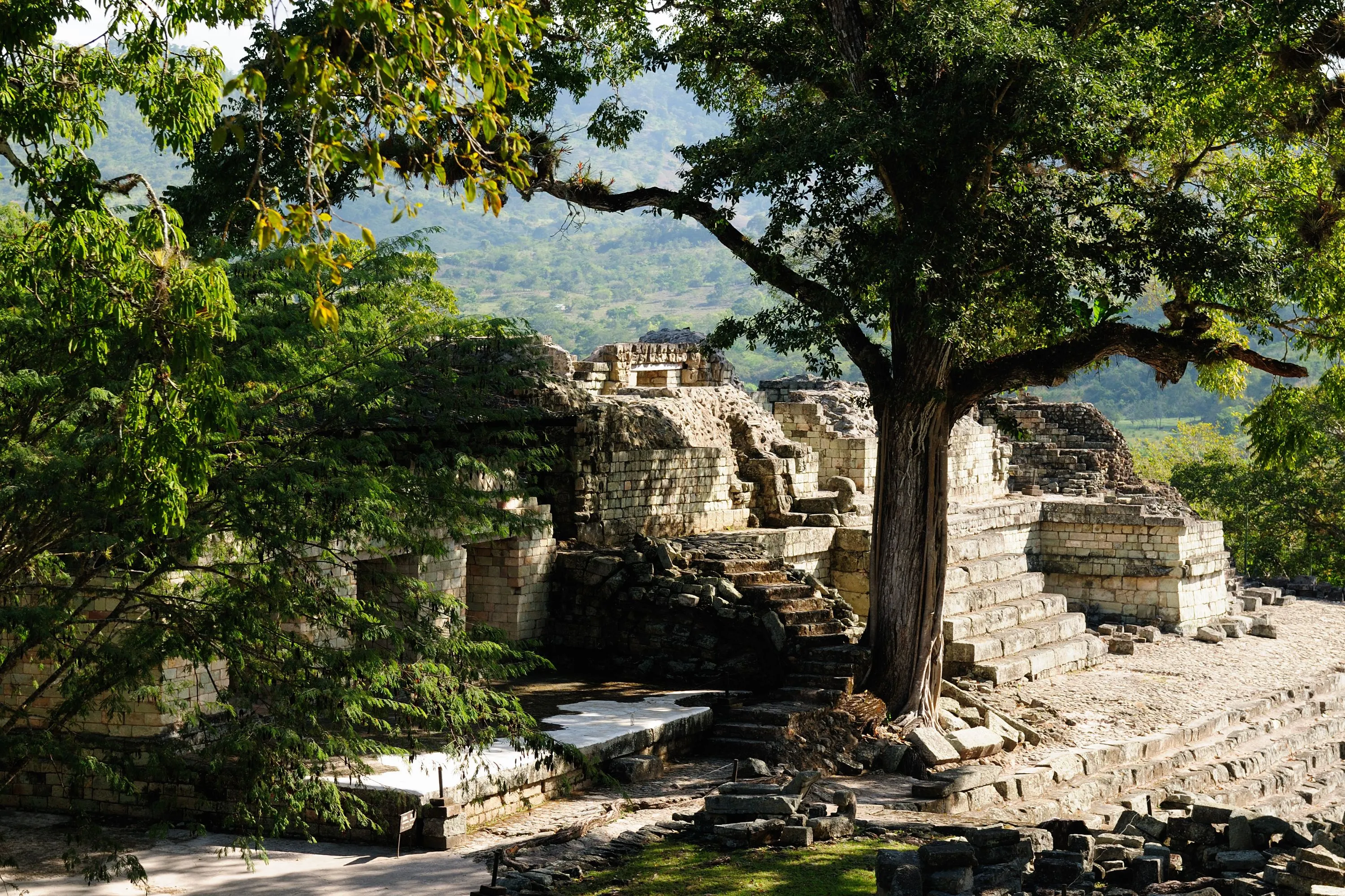 Copan
