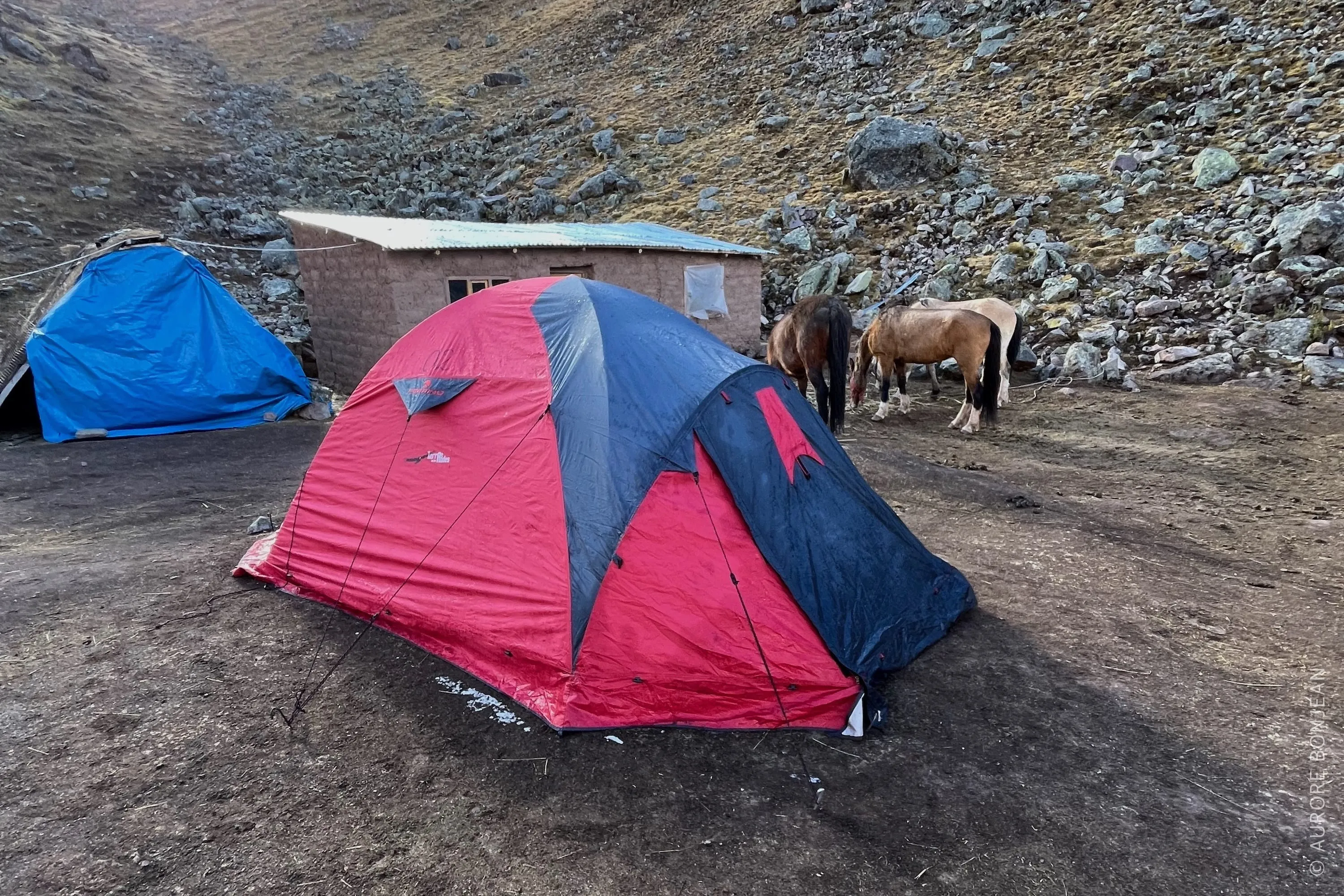 Nuit en bivouac