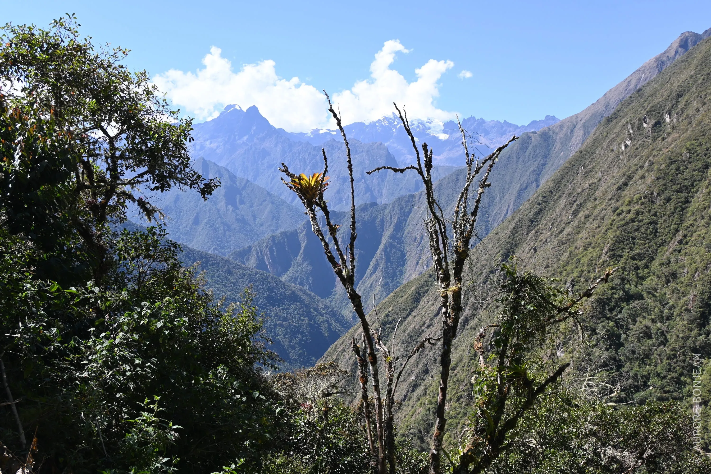 Chemin de l'Inca