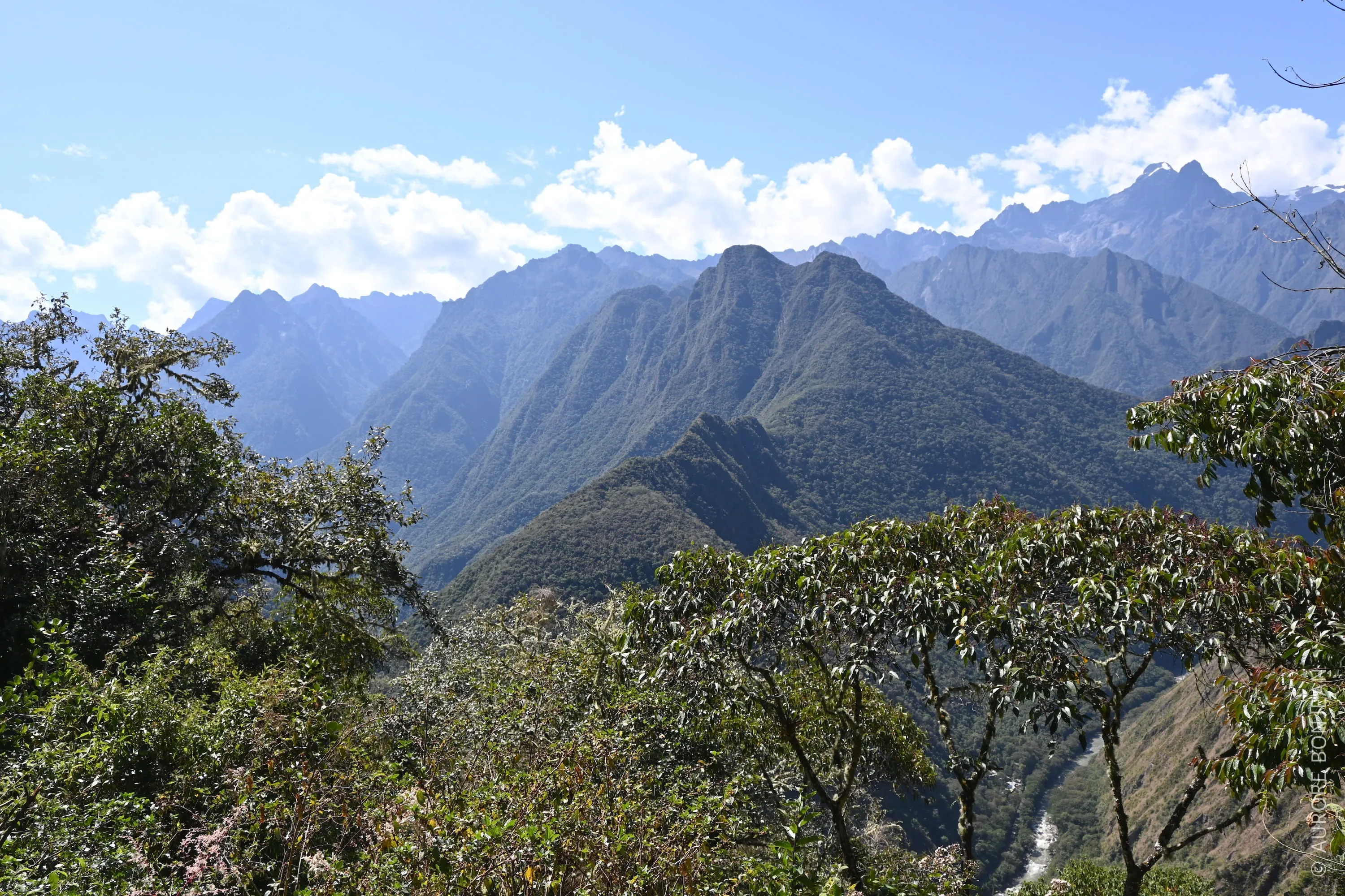 Chemin de l'Inca