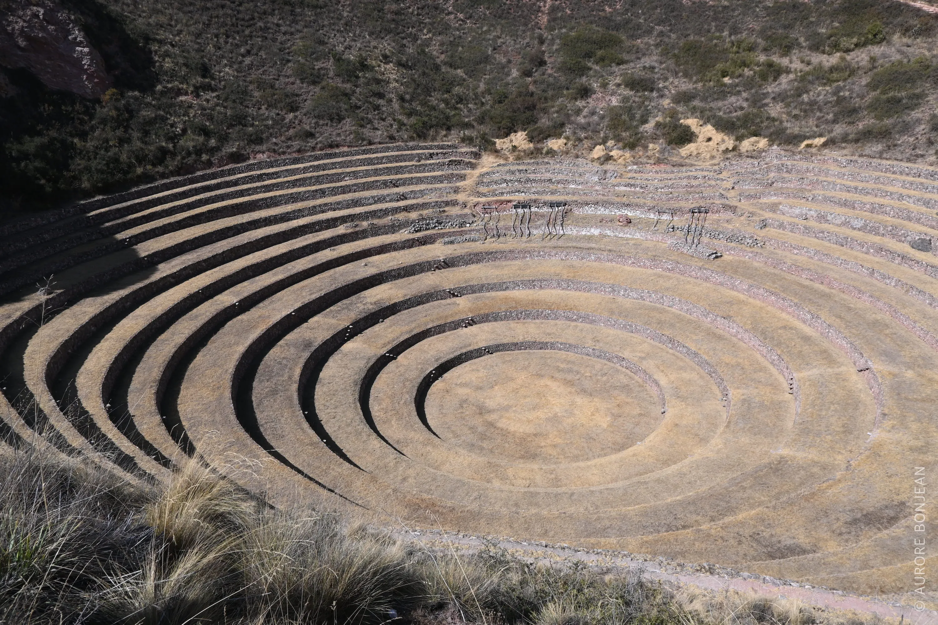 Moray