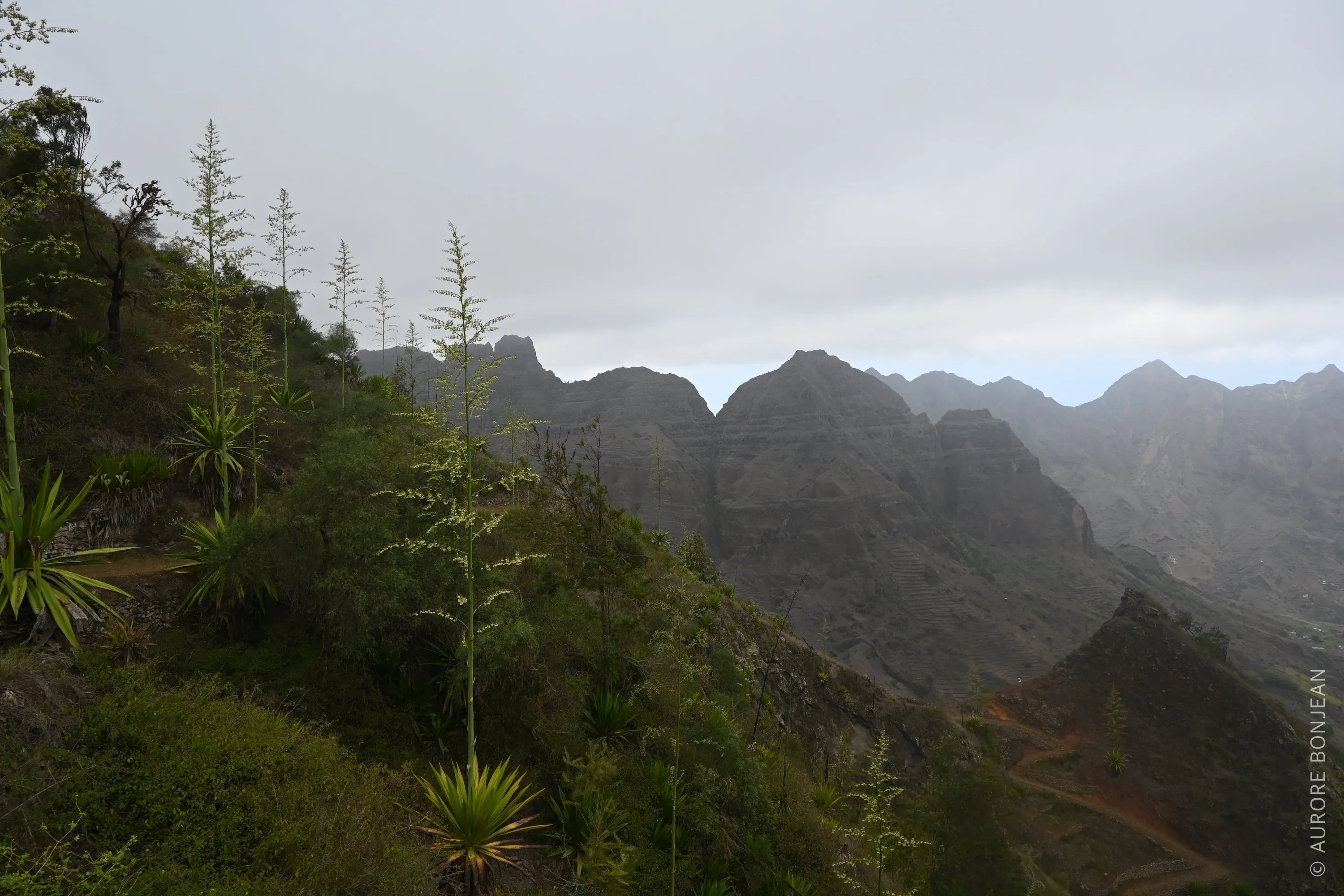 Paysage du Cap-Vert