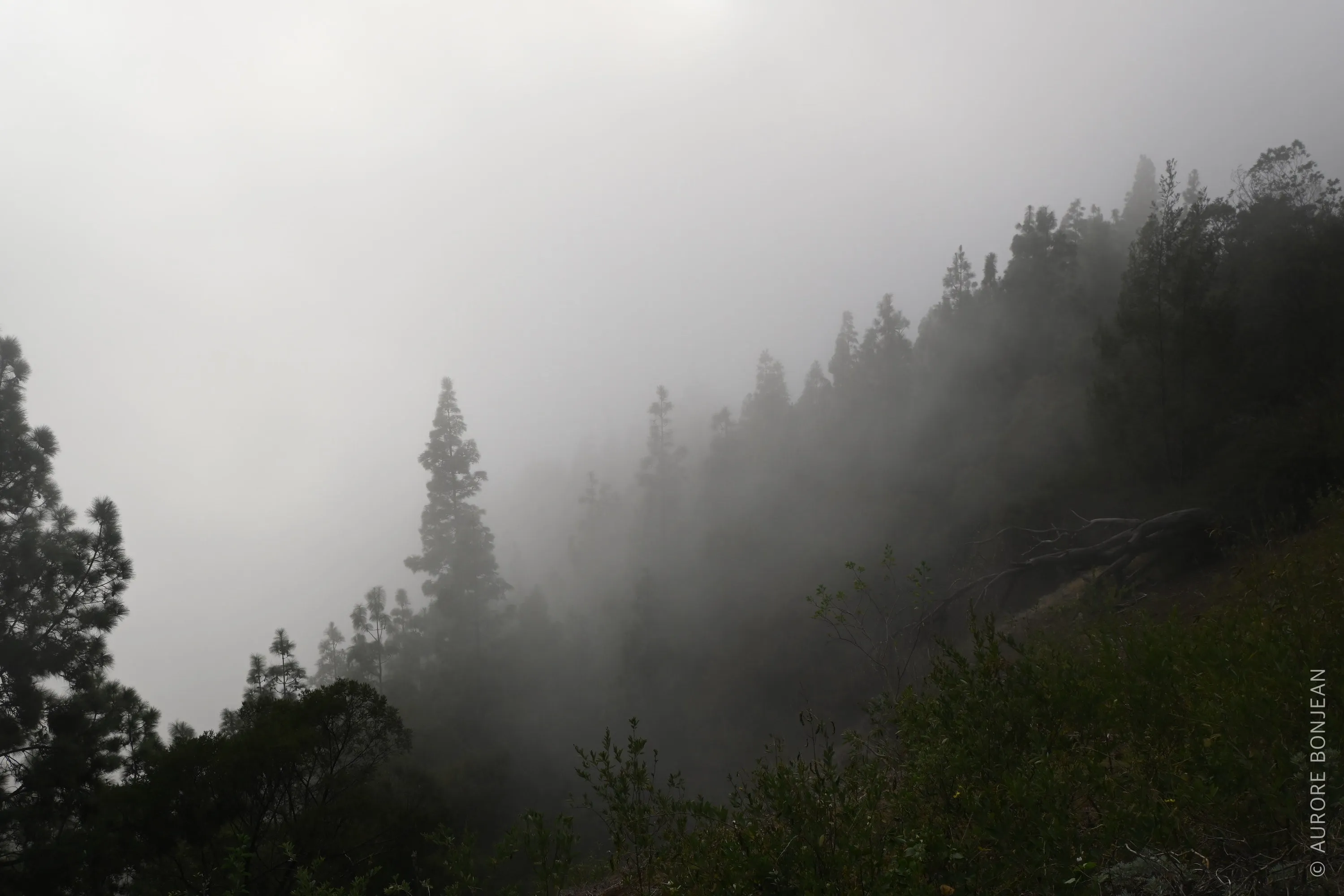 Cratère de Cova dans le brouillard