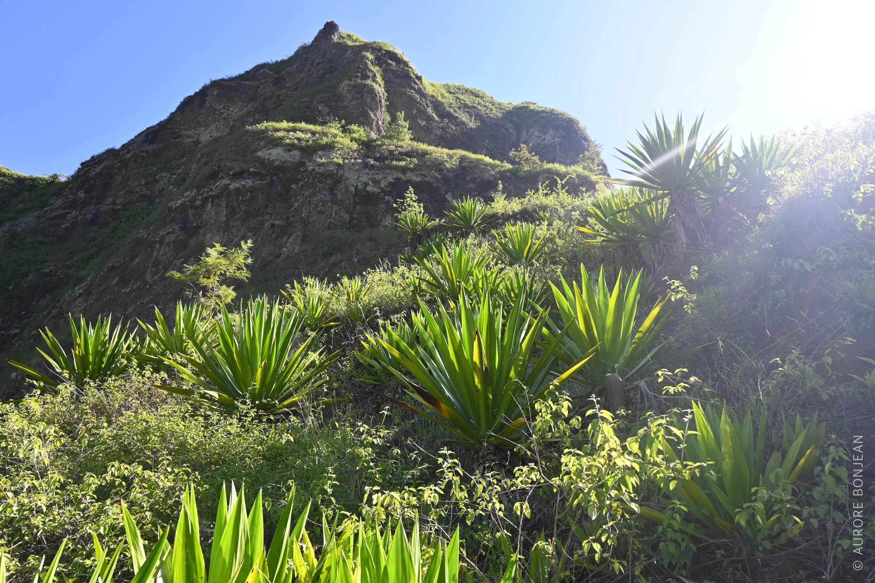 Paysage du Cap-Vert