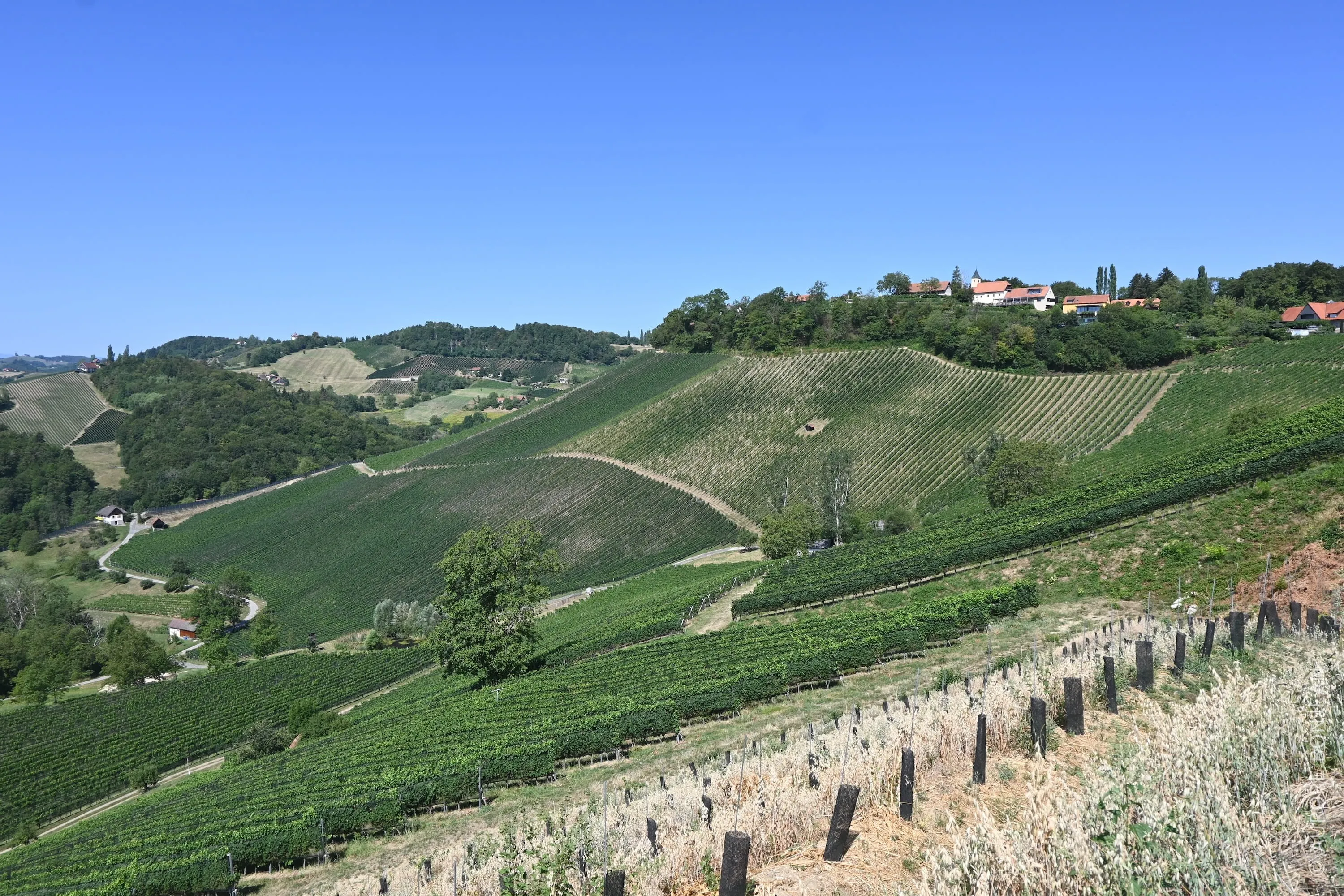 Südsteirische Weinstraße