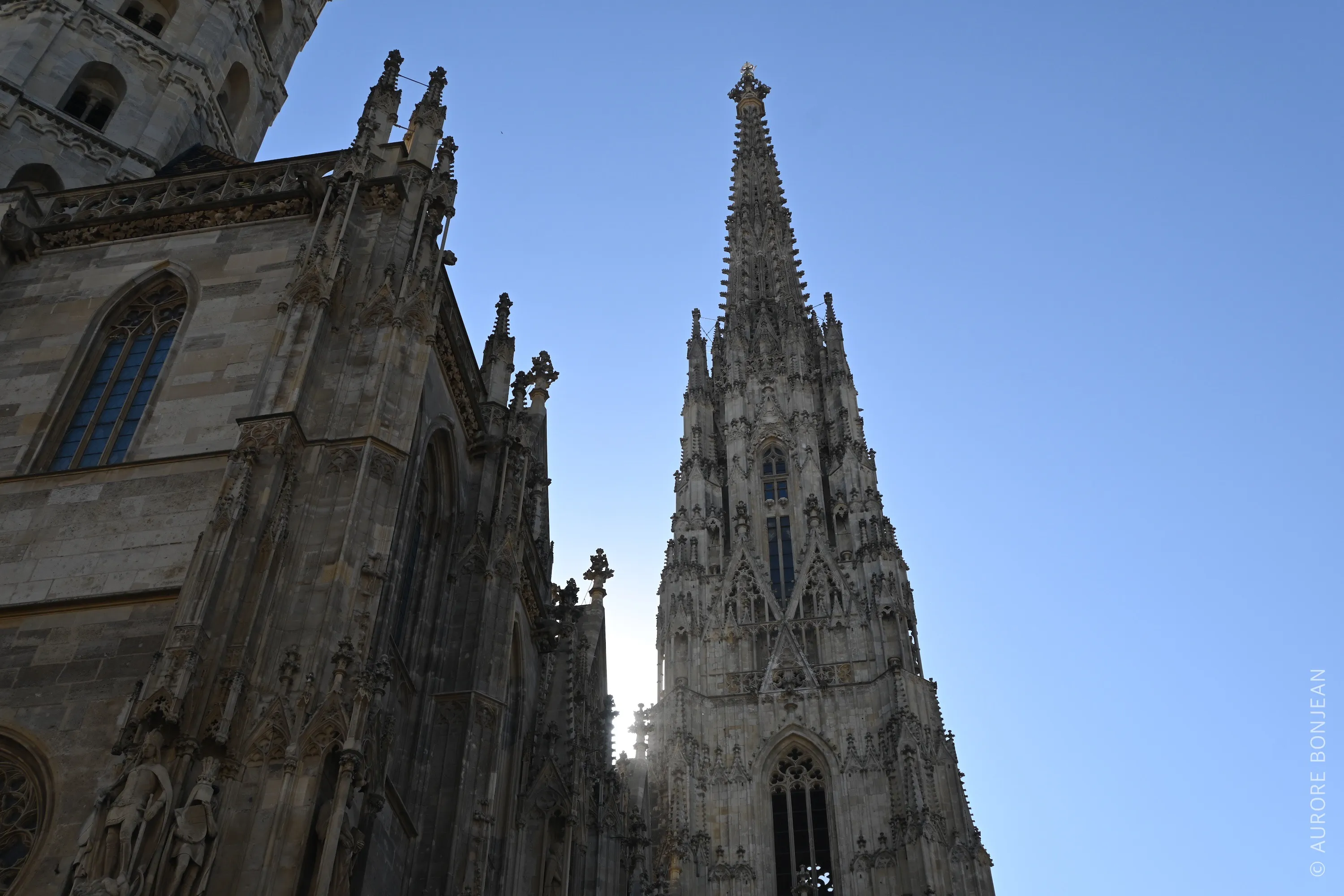 Vienne