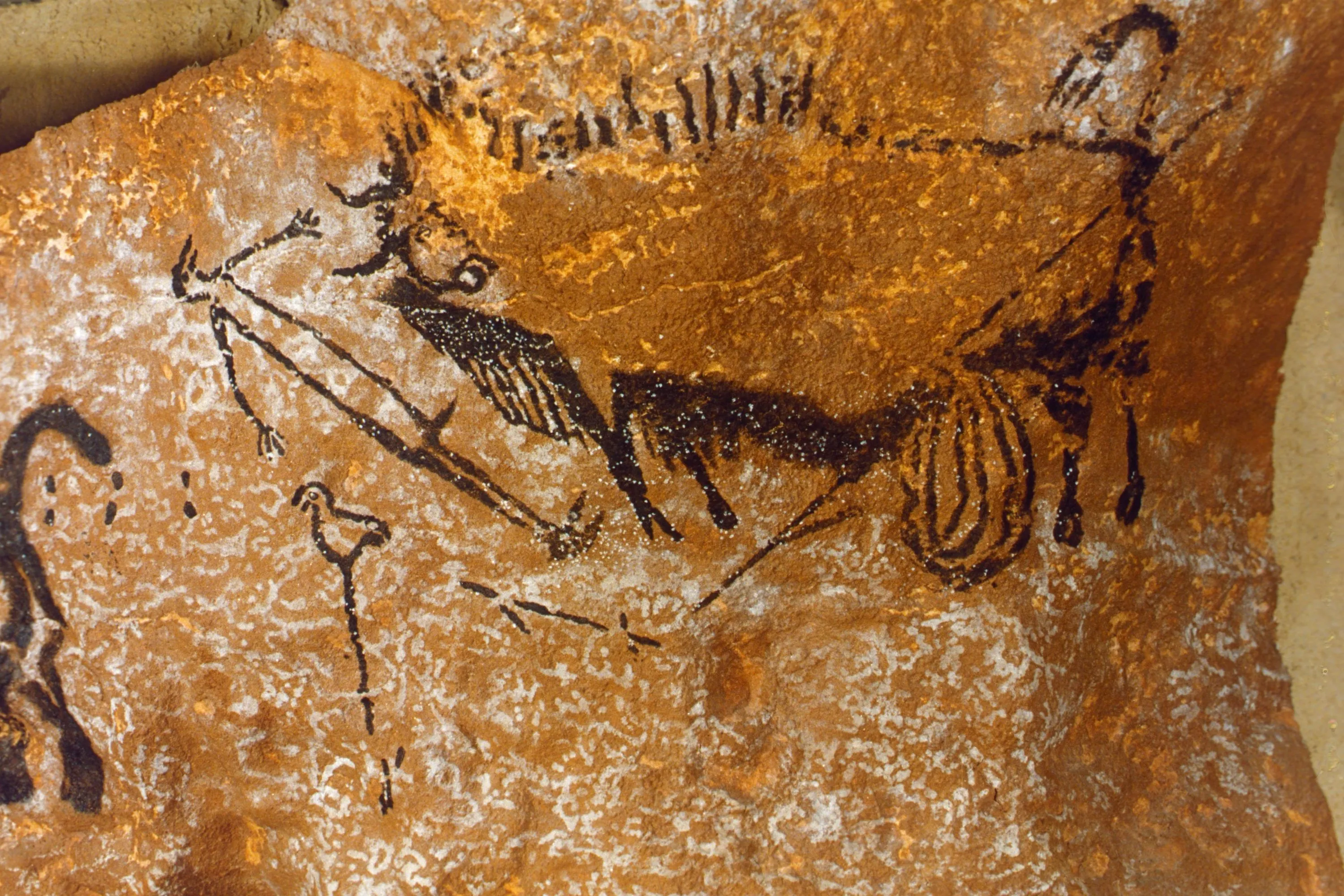Grotte de Lascaux