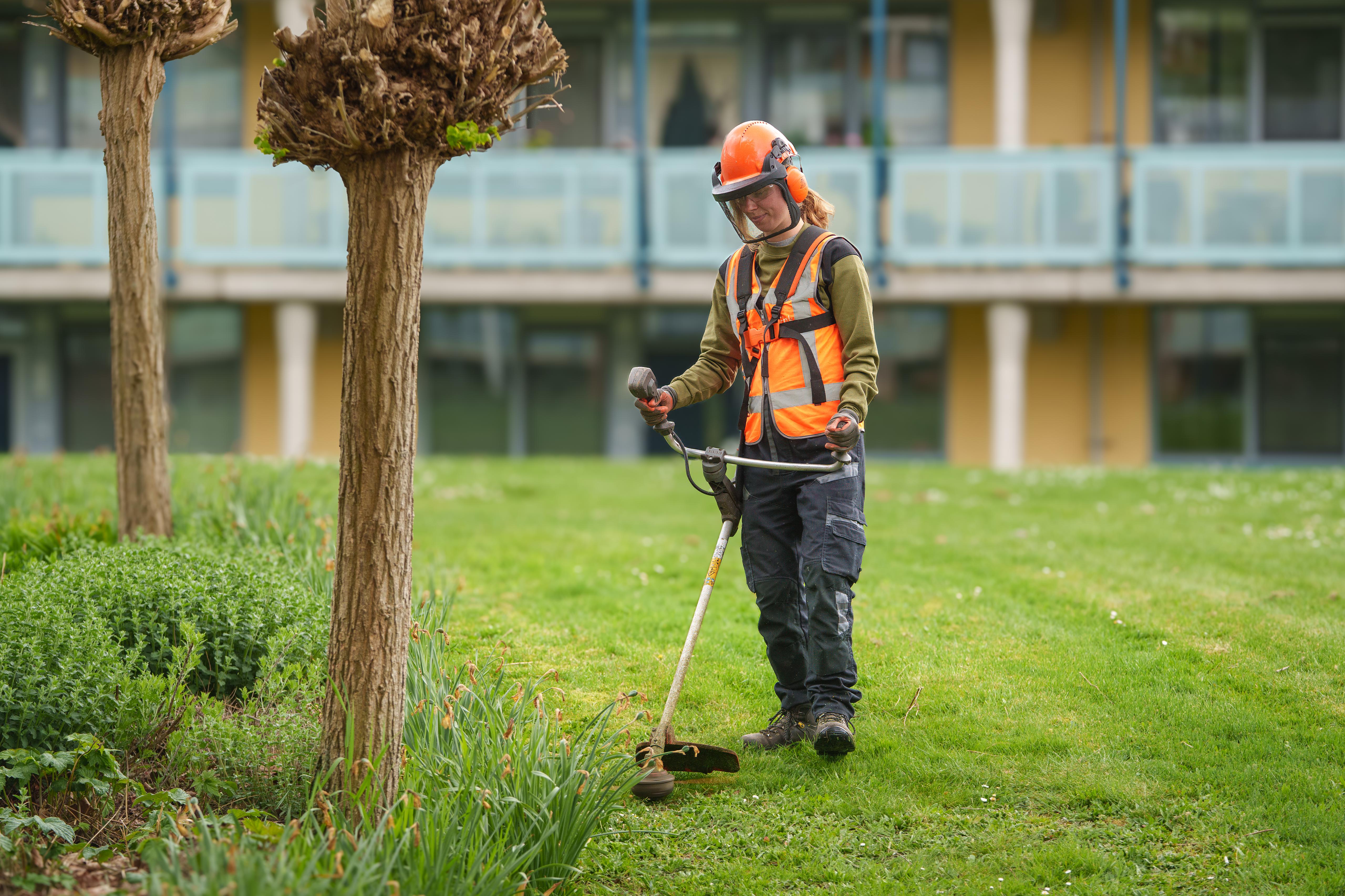 Vakbekwaam Hovenier Onderhoud