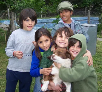 A young dag also likes to be cuddled.