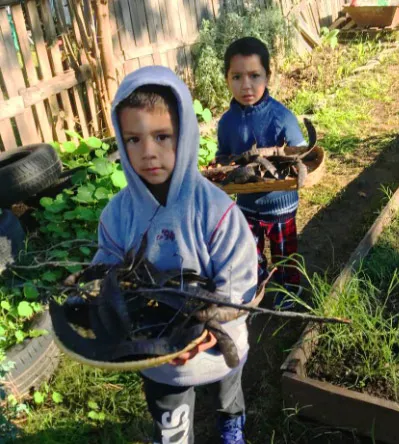 Young  children help out  in the garden.