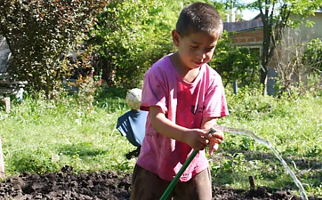 A young boy waters the vegetables in the garden.