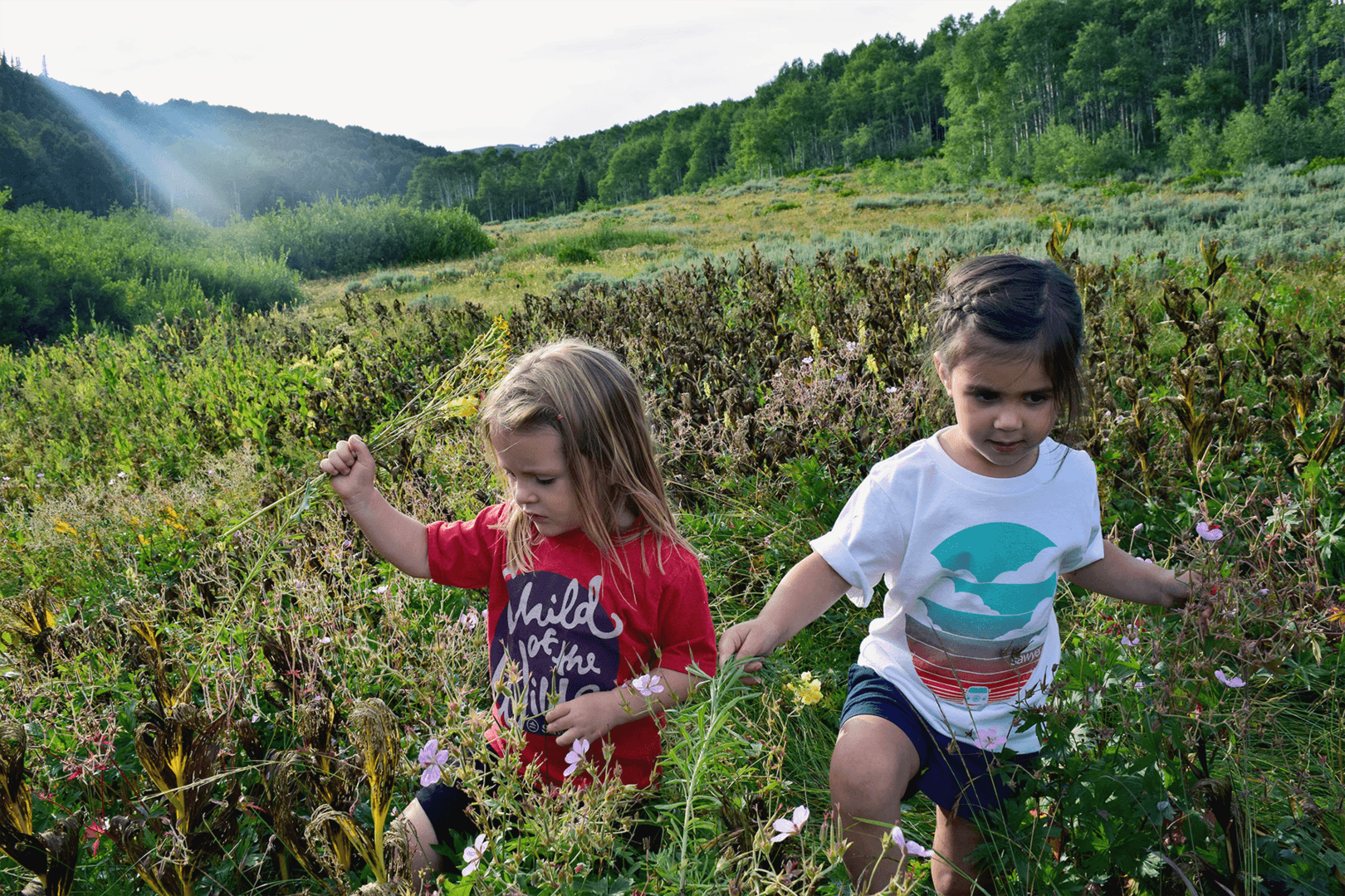 backyard_inline3_sawyer