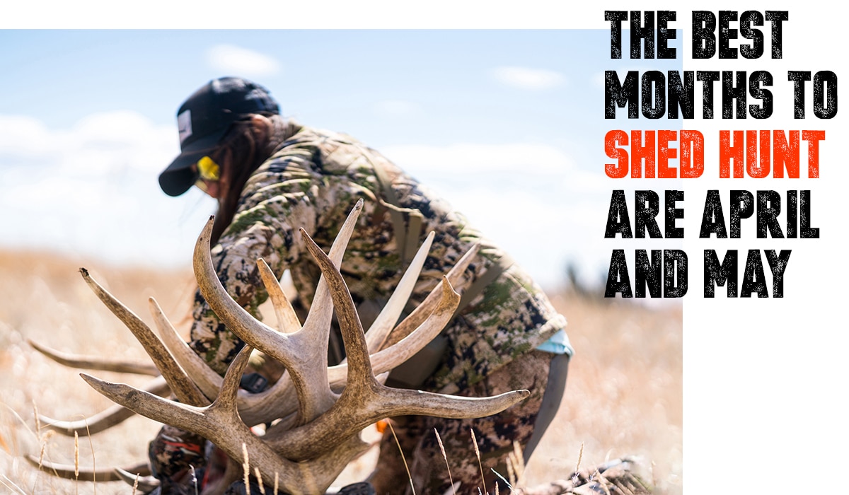 AnyonesHuntShed_BlogQuote2