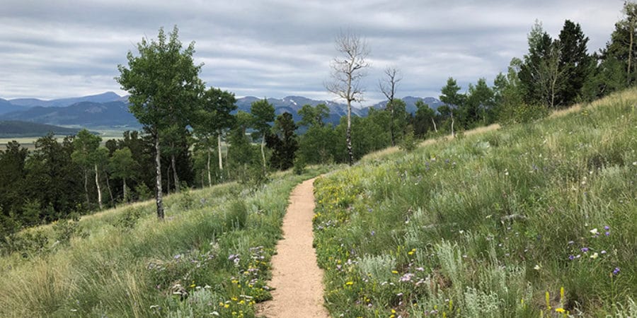 IMG_2210734x408-900x450