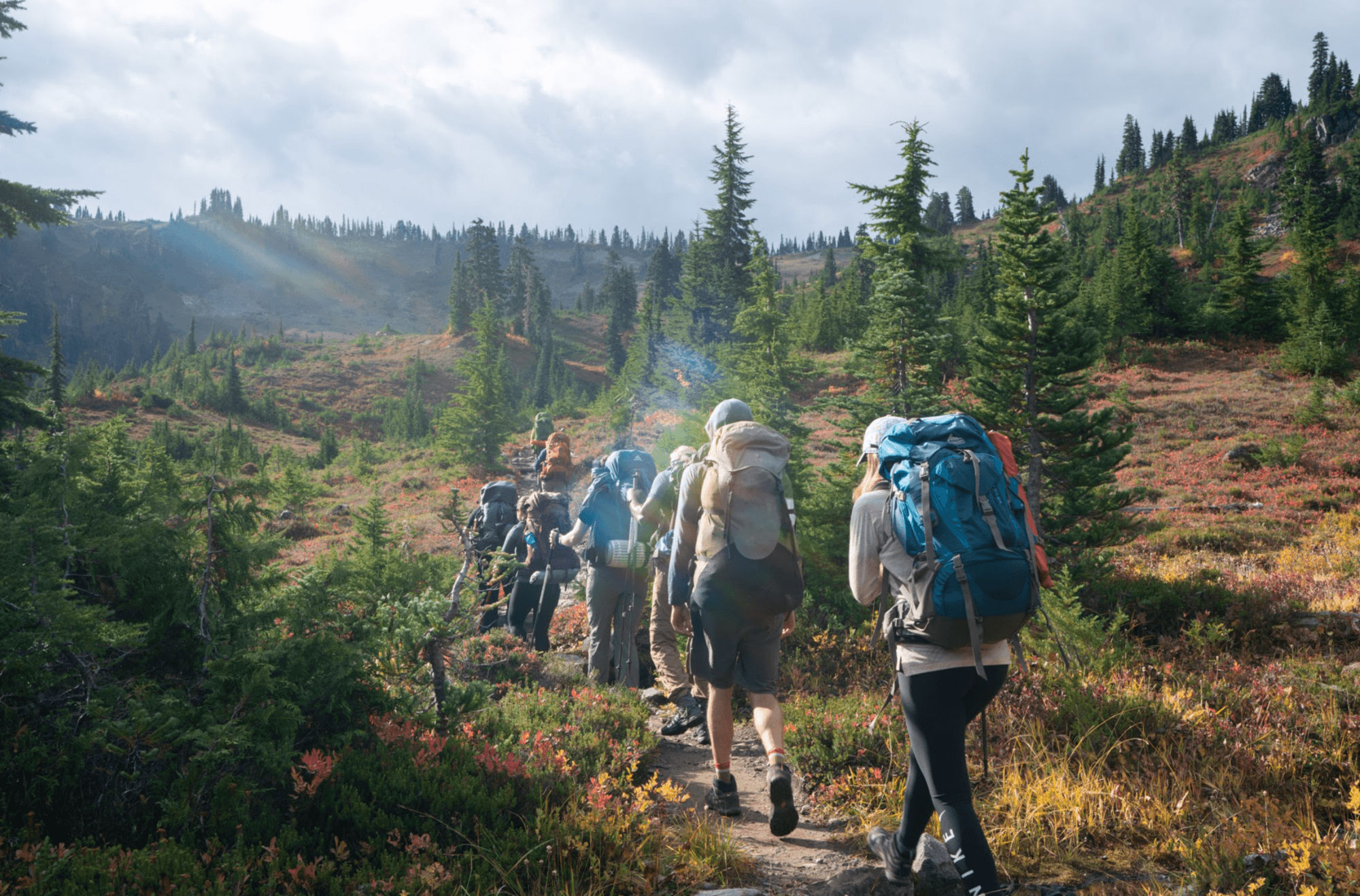 Bearfoot Theory Backpacking_Olympic-National-Park
