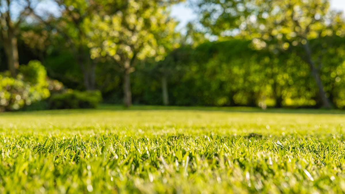 CR-Health-Inlinehero-tick-prevention-0719