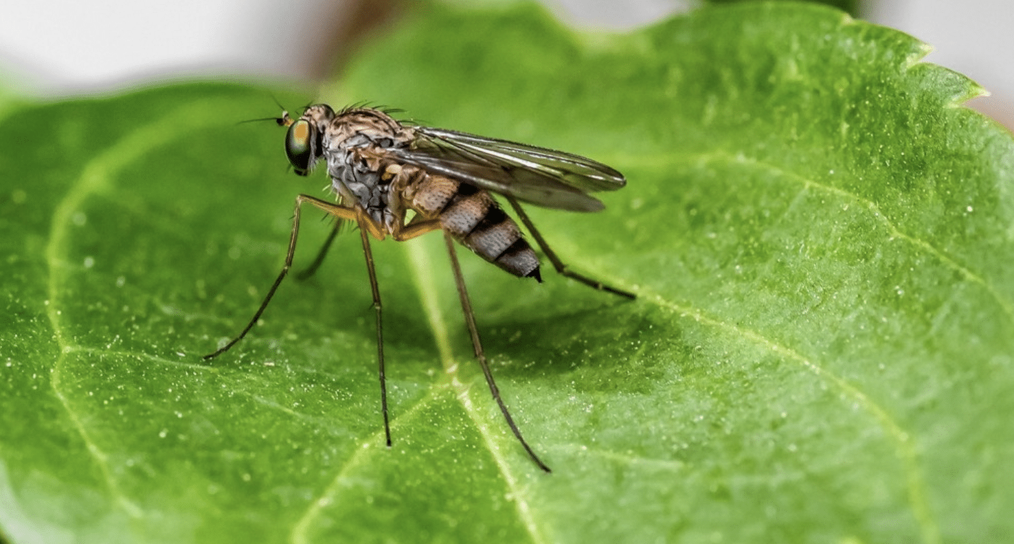 Screen Shot 2020-07-08 at 12.00.56 PM