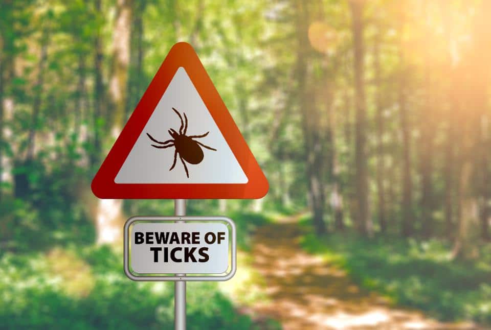 Forbes Lyme Disease is the Last 960x0
