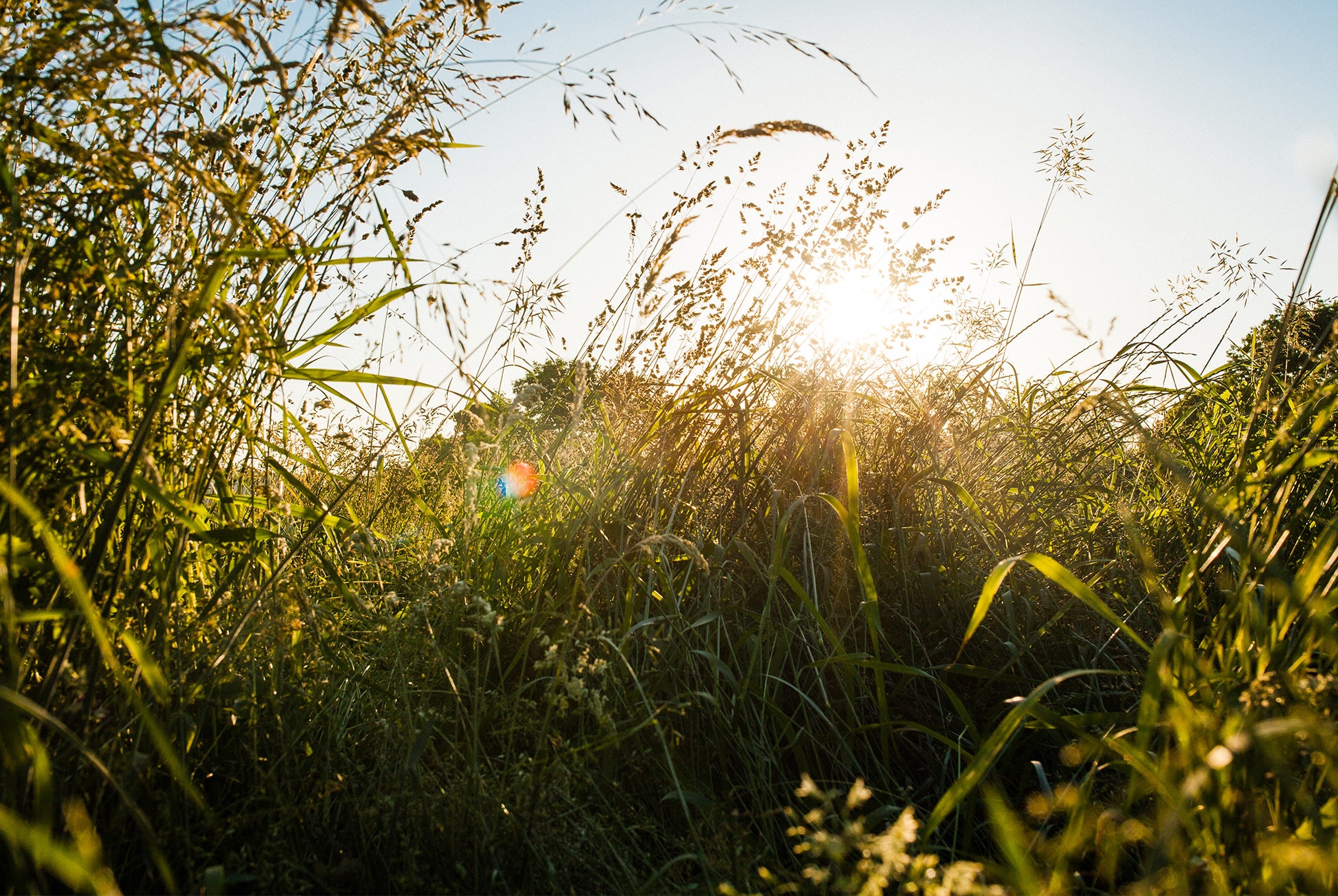 gear patrol Everything-You-Need-to-Avoid-Ticks-This-Summer-gear-patrol-lead-full